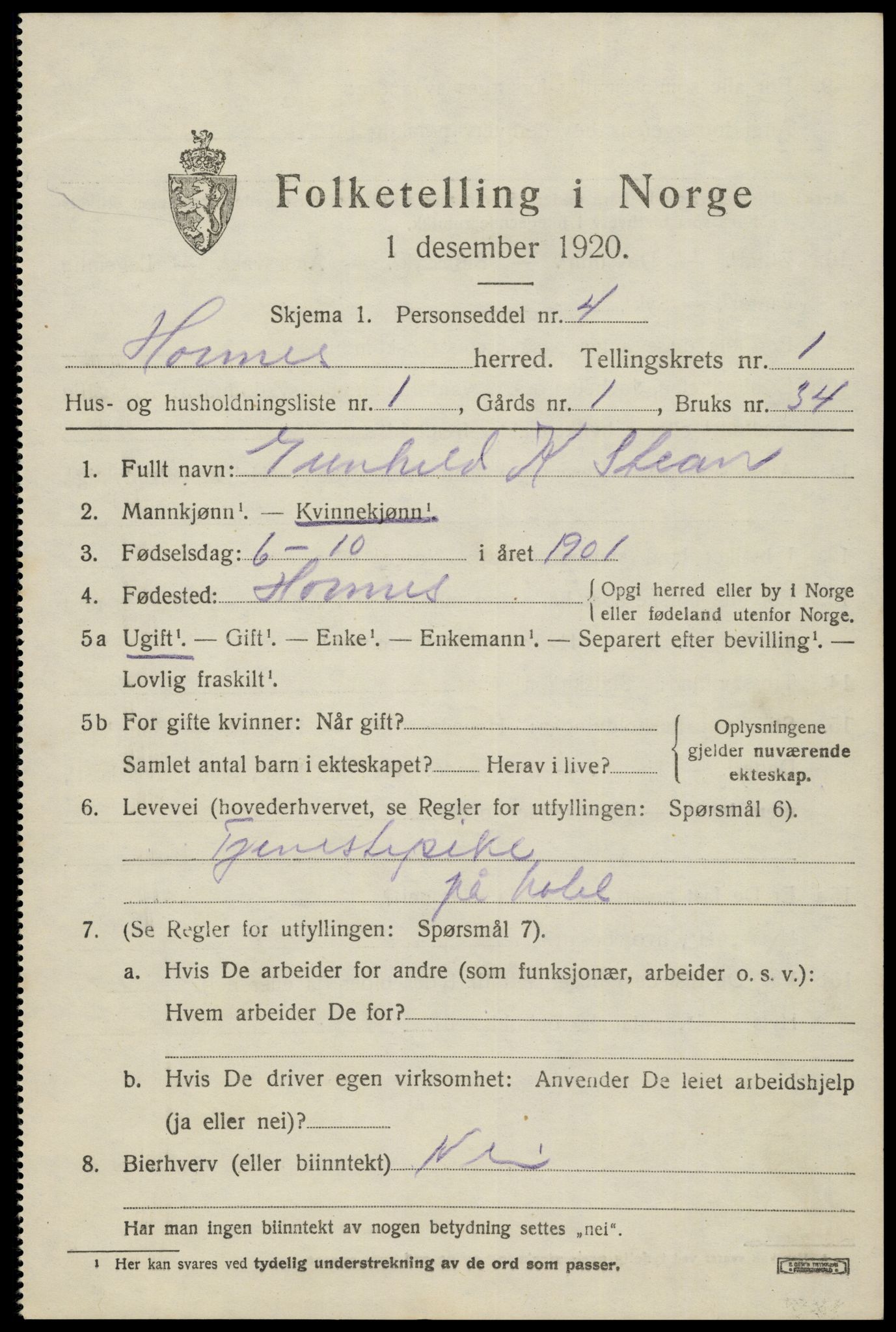 SAK, 1920 census for Hornnes, 1920, p. 565