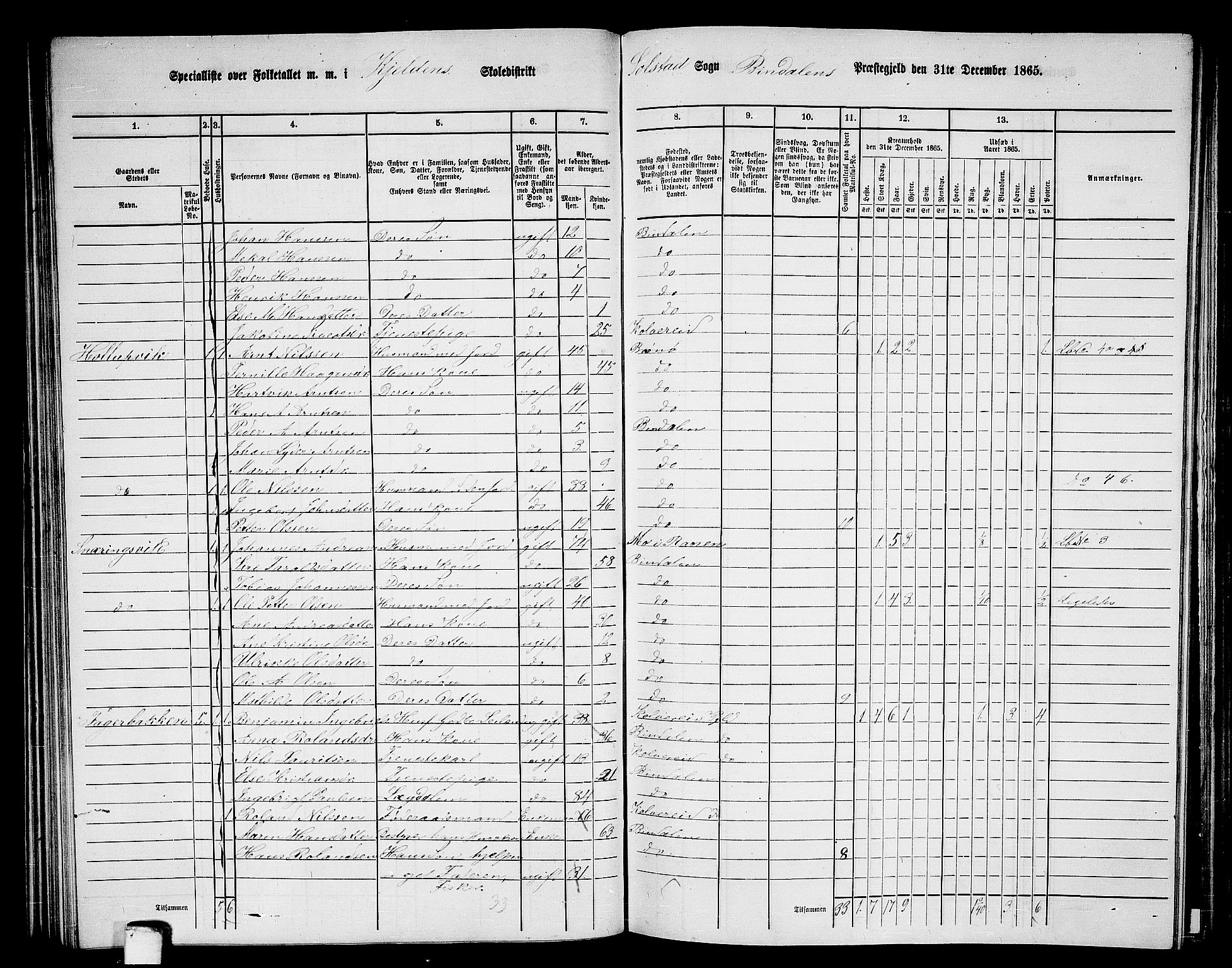 RA, 1865 census for Bindal, 1865, p. 58