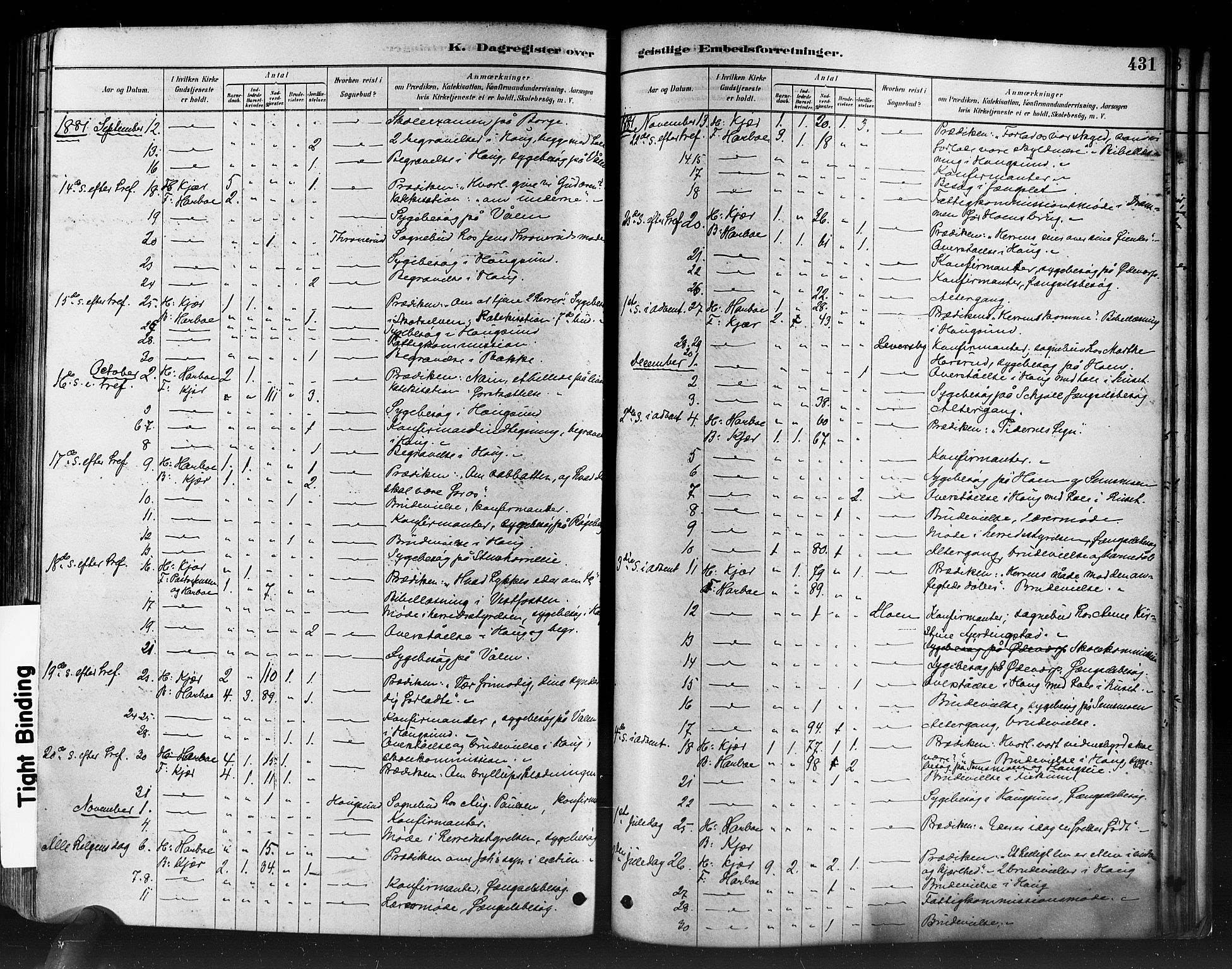 Eiker kirkebøker, AV/SAKO-A-4/F/Fb/L0001: Parish register (official) no. II 1, 1878-1888, p. 431