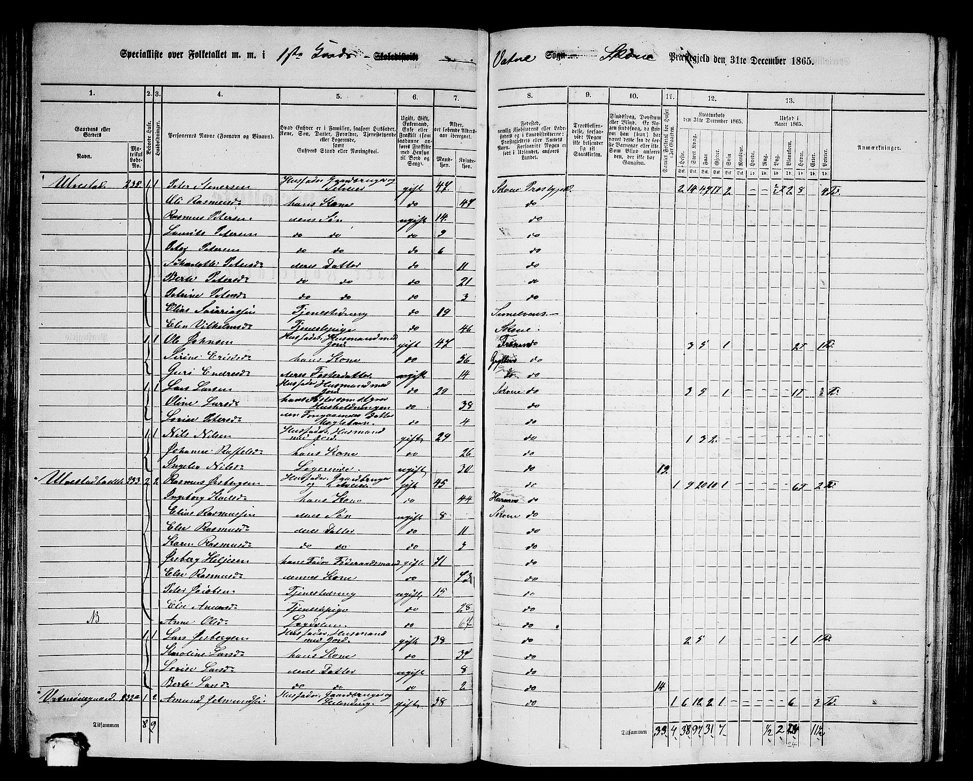 RA, 1865 census for Skodje, 1865, p. 72