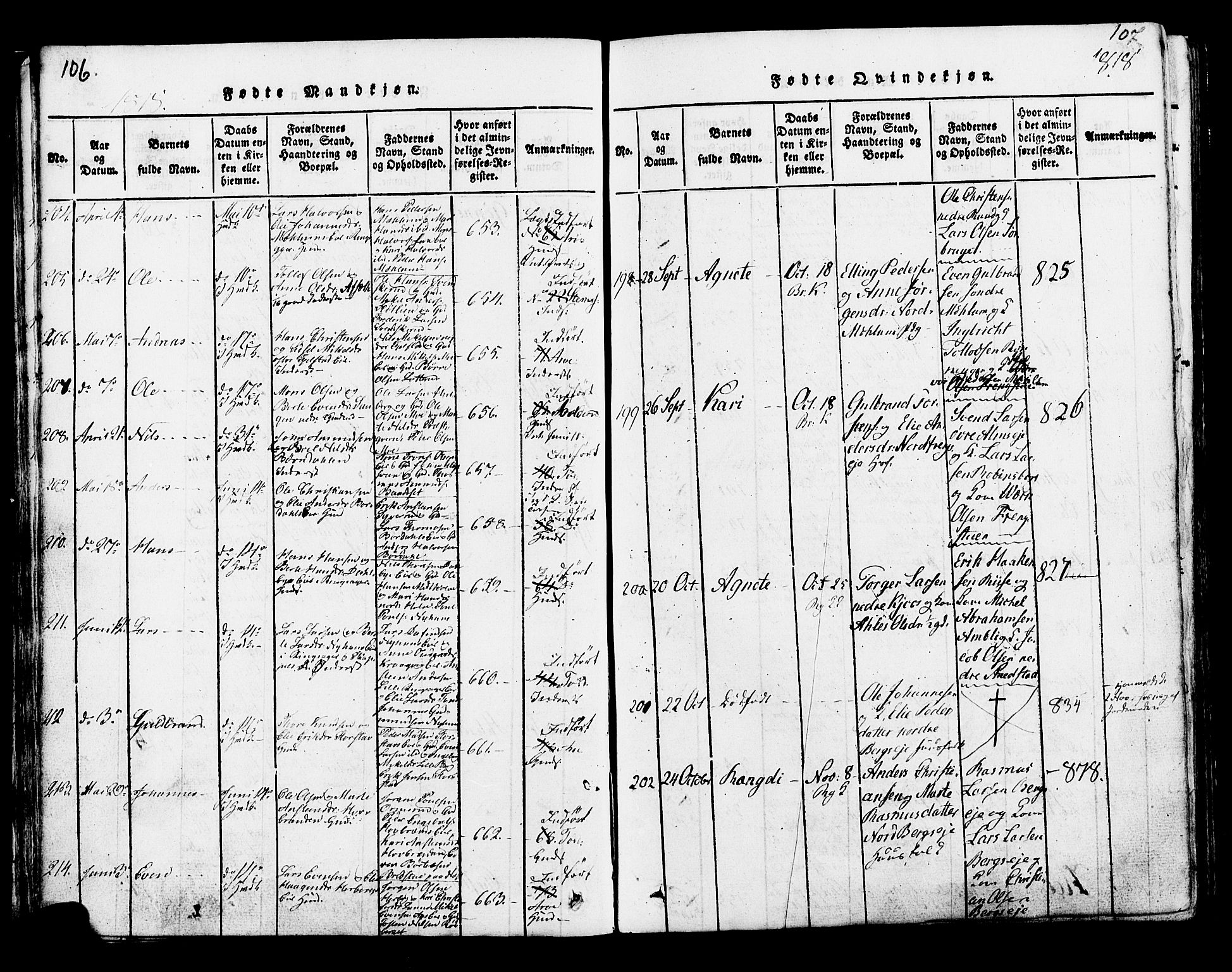 Ringsaker prestekontor, AV/SAH-PREST-014/K/Ka/L0005: Parish register (official) no. 5, 1814-1826, p. 106-107