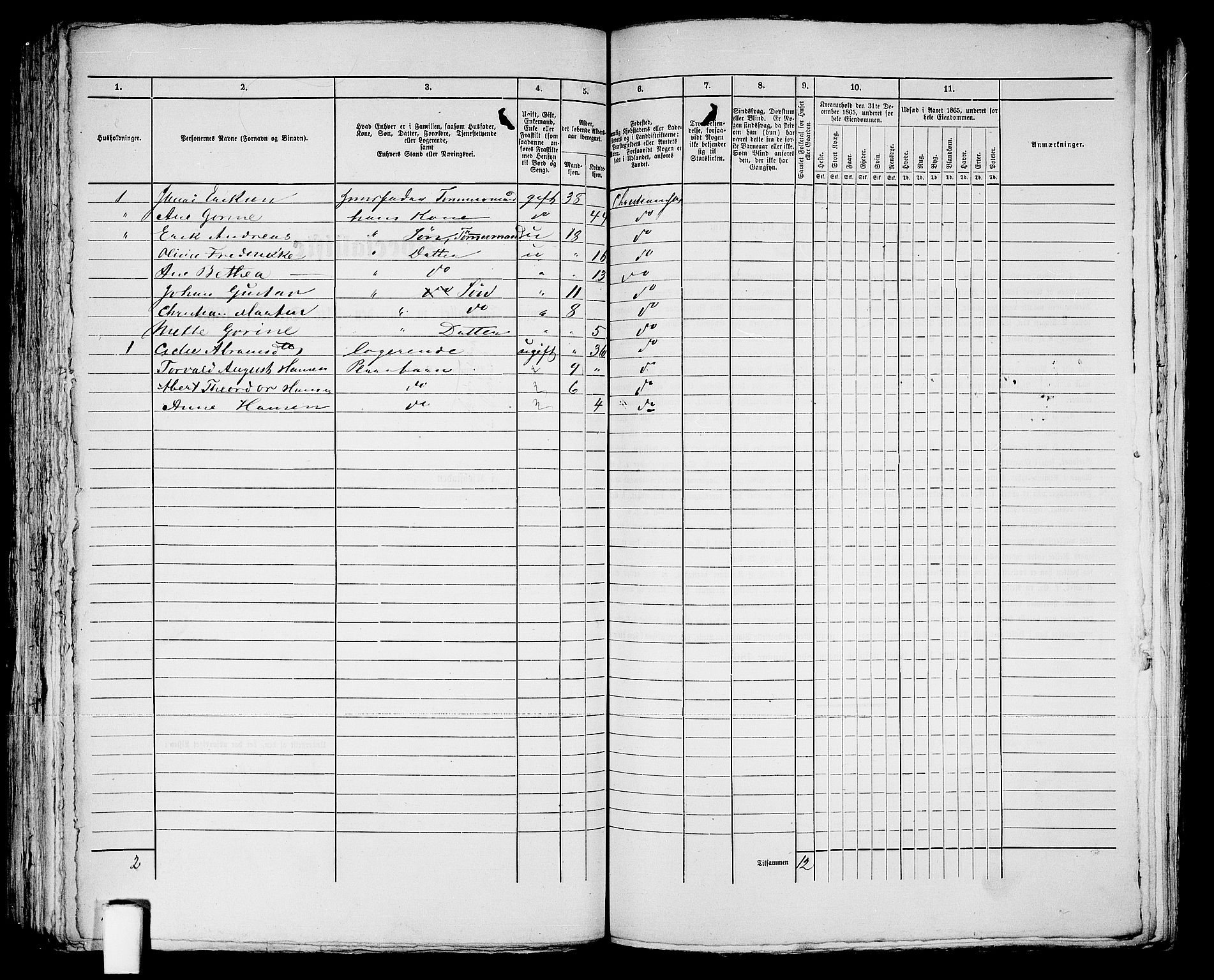 RA, 1865 census for Kristiansand, 1865, p. 1185