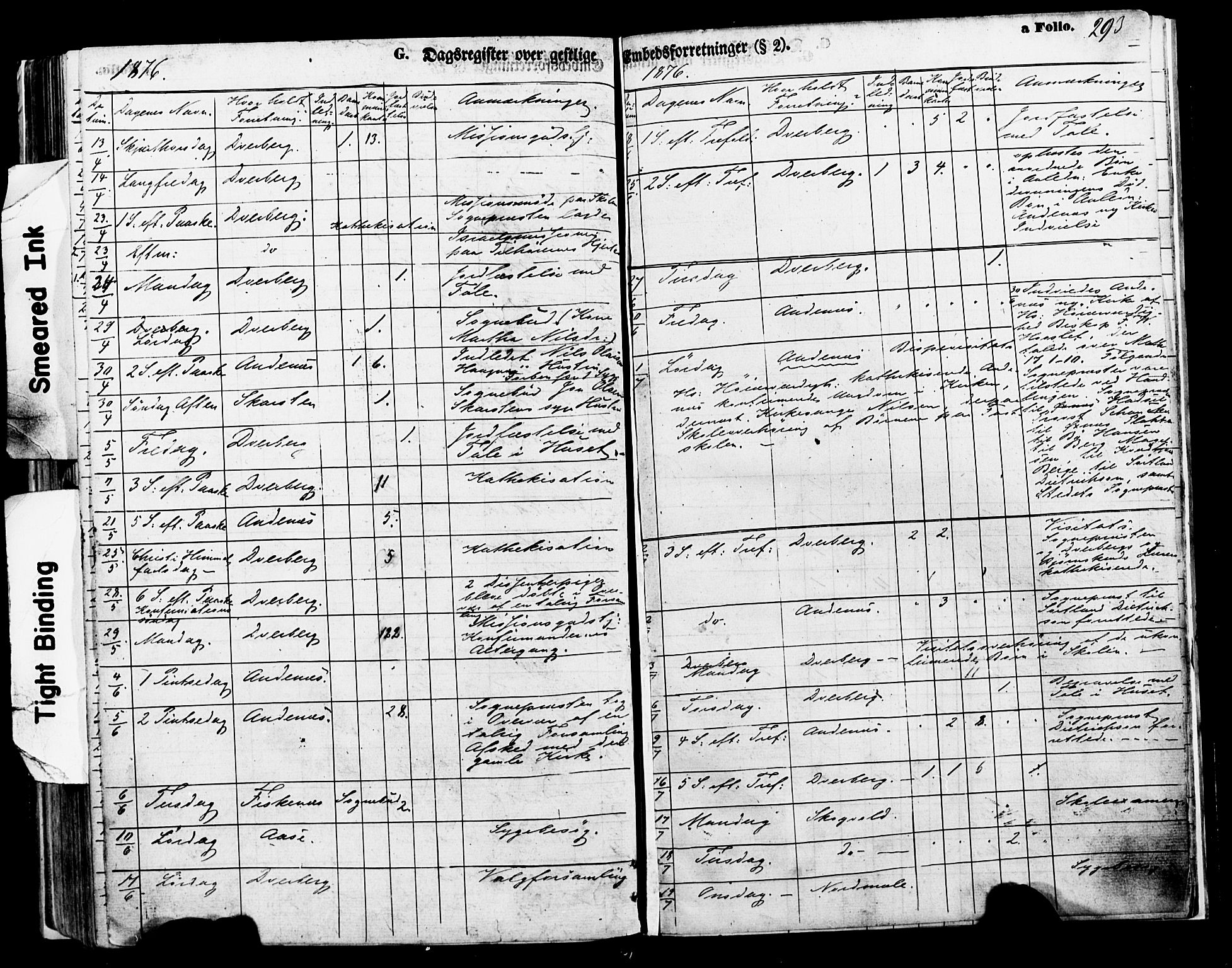 Ministerialprotokoller, klokkerbøker og fødselsregistre - Nordland, AV/SAT-A-1459/897/L1397: Parish register (official) no. 897A05 /1, 1867-1880, p. 293