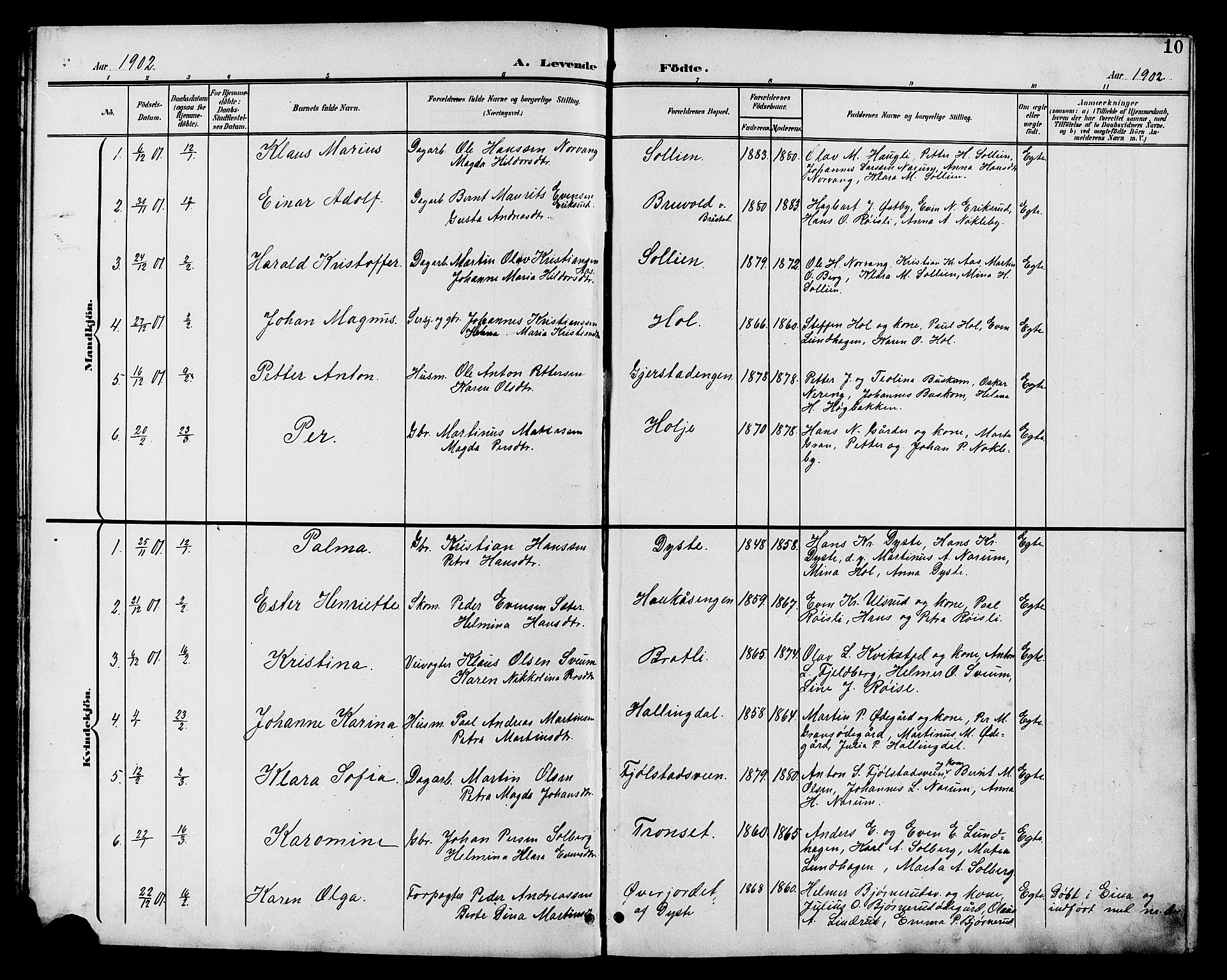 Vestre Toten prestekontor, AV/SAH-PREST-108/H/Ha/Hab/L0011: Parish register (copy) no. 11, 1901-1911, p. 10