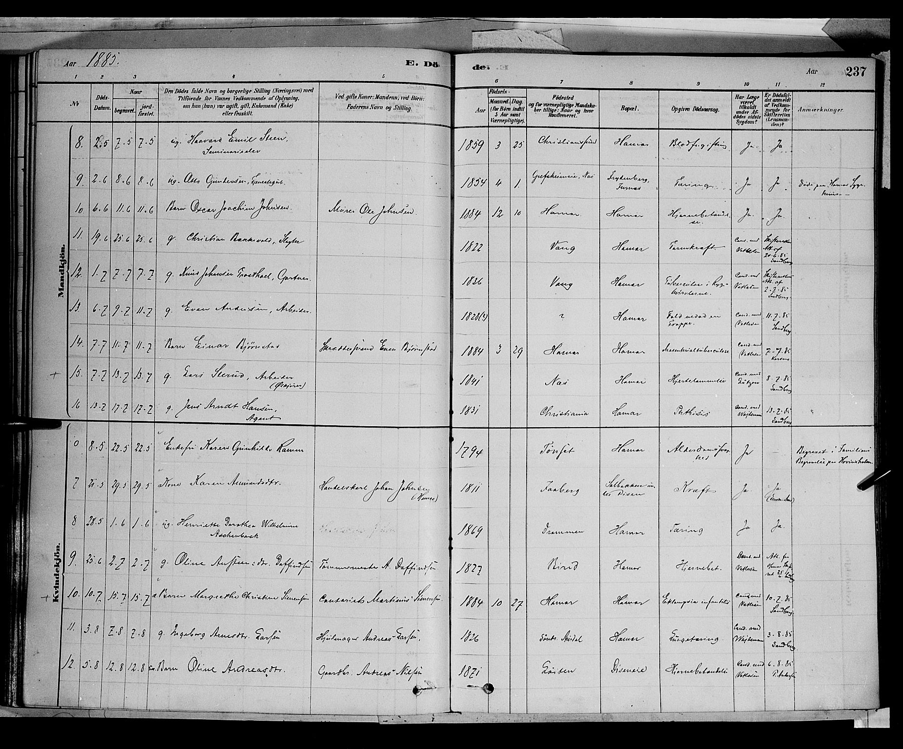 Vang prestekontor, Hedmark, AV/SAH-PREST-008/H/Ha/Haa/L0016: Parish register (official) no. 16, 1878-1889, p. 237