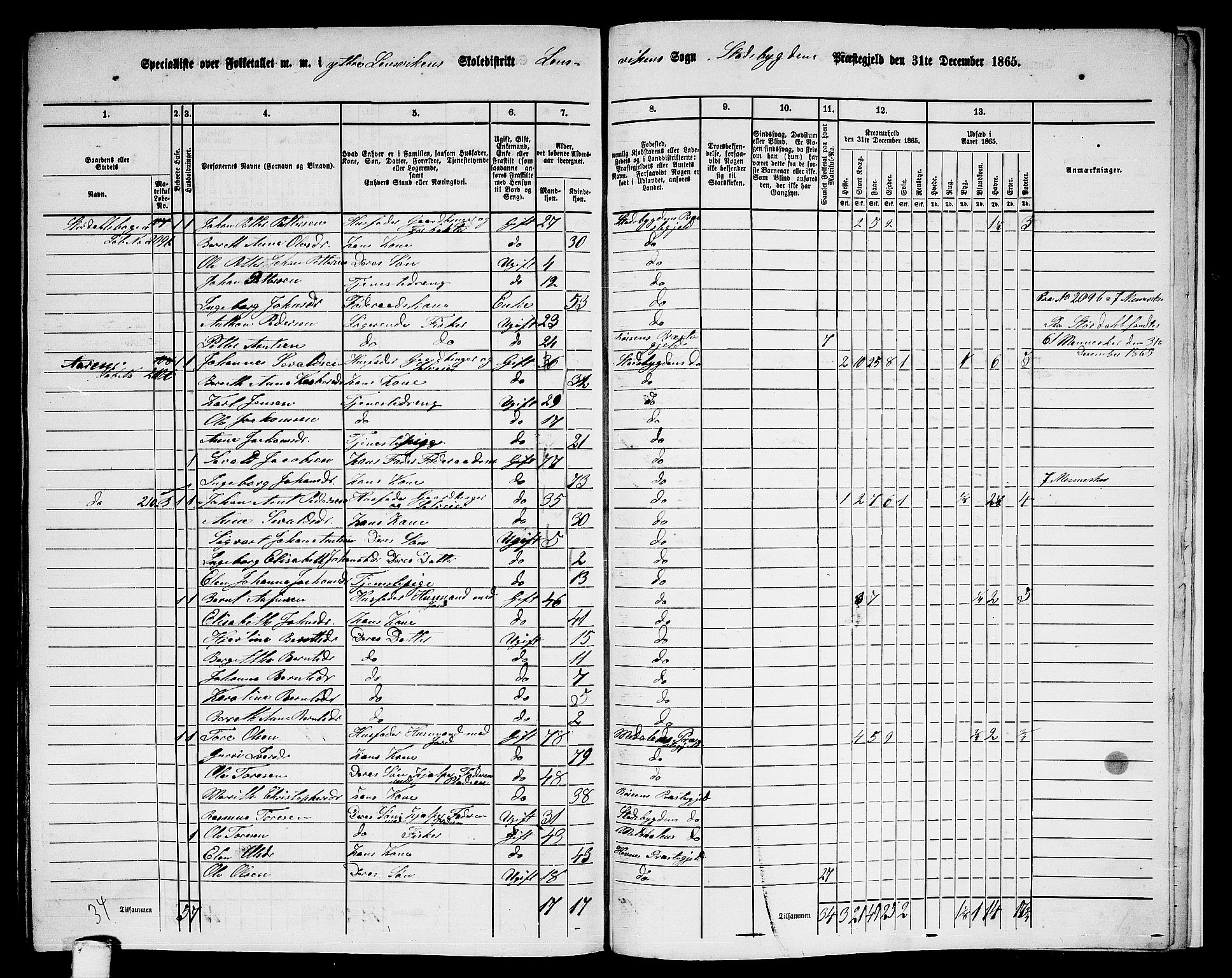 RA, 1865 census for Stadsbygd, 1865, p. 222