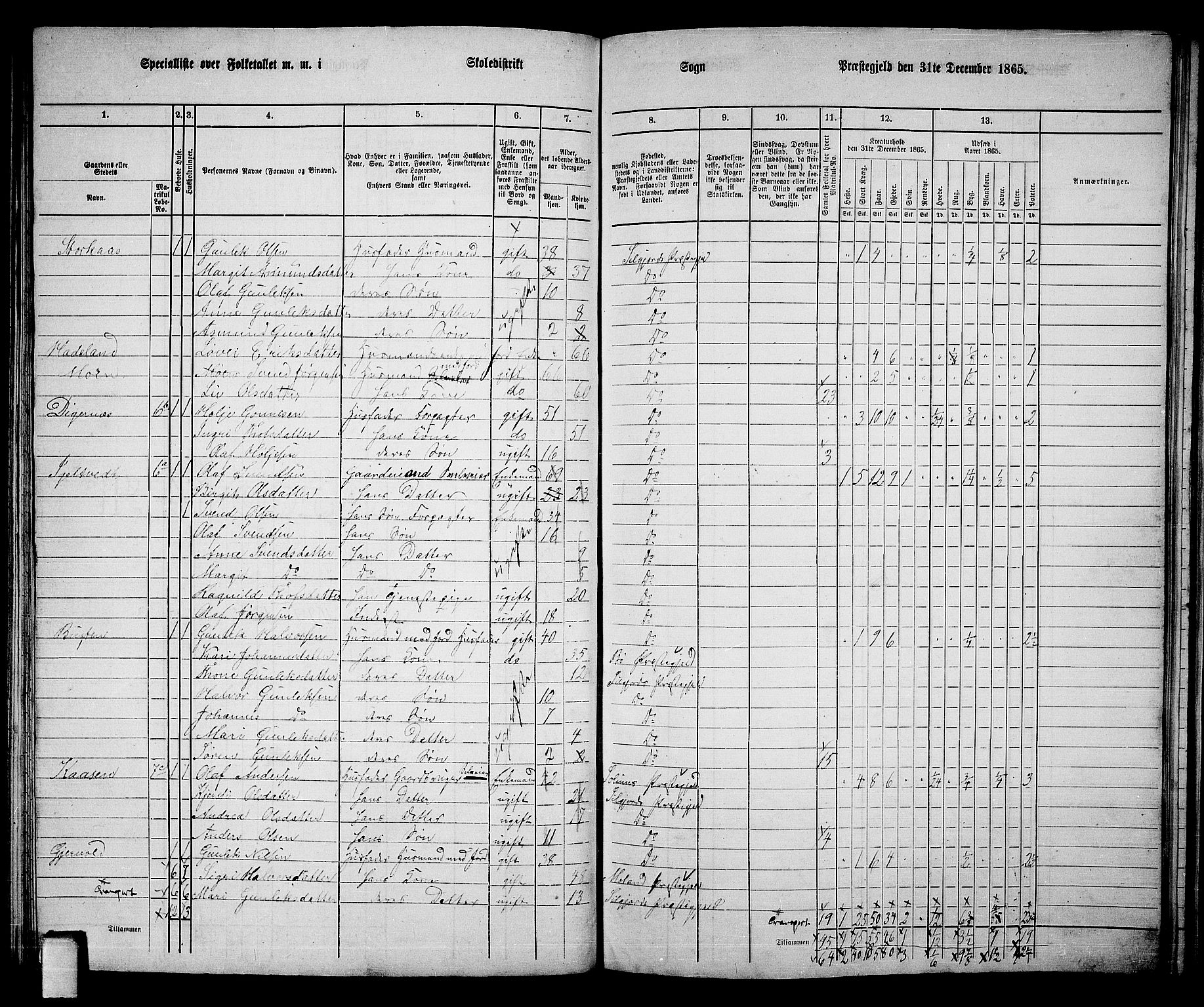 RA, 1865 census for Seljord, 1865, p. 79