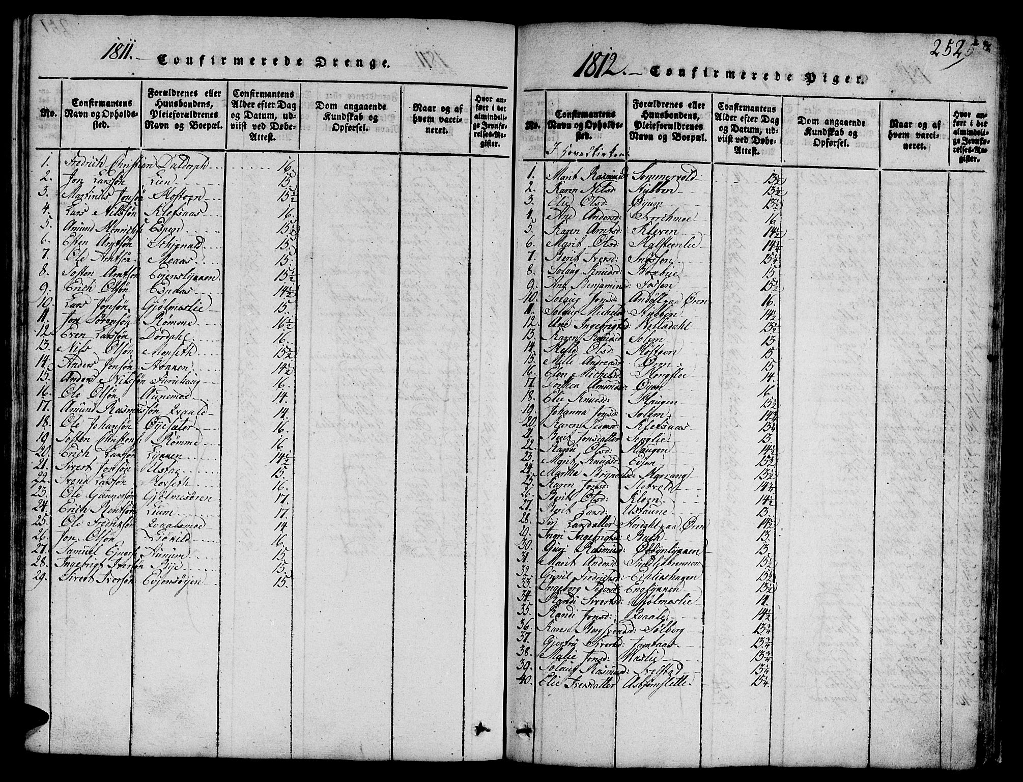 Ministerialprotokoller, klokkerbøker og fødselsregistre - Sør-Trøndelag, AV/SAT-A-1456/668/L0803: Parish register (official) no. 668A03, 1800-1826, p. 252