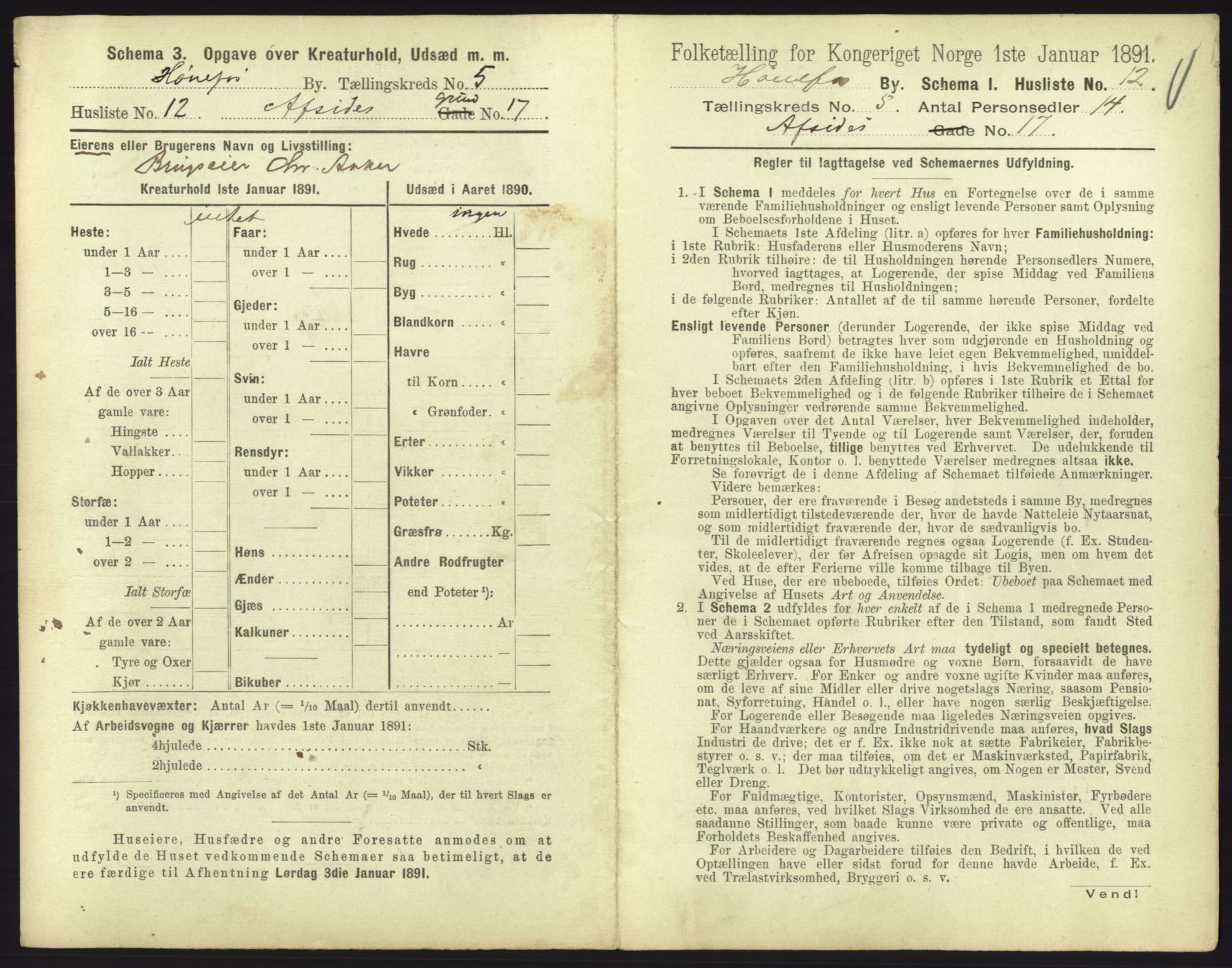 RA, 1891 census for 0601 Hønefoss, 1891, p. 167