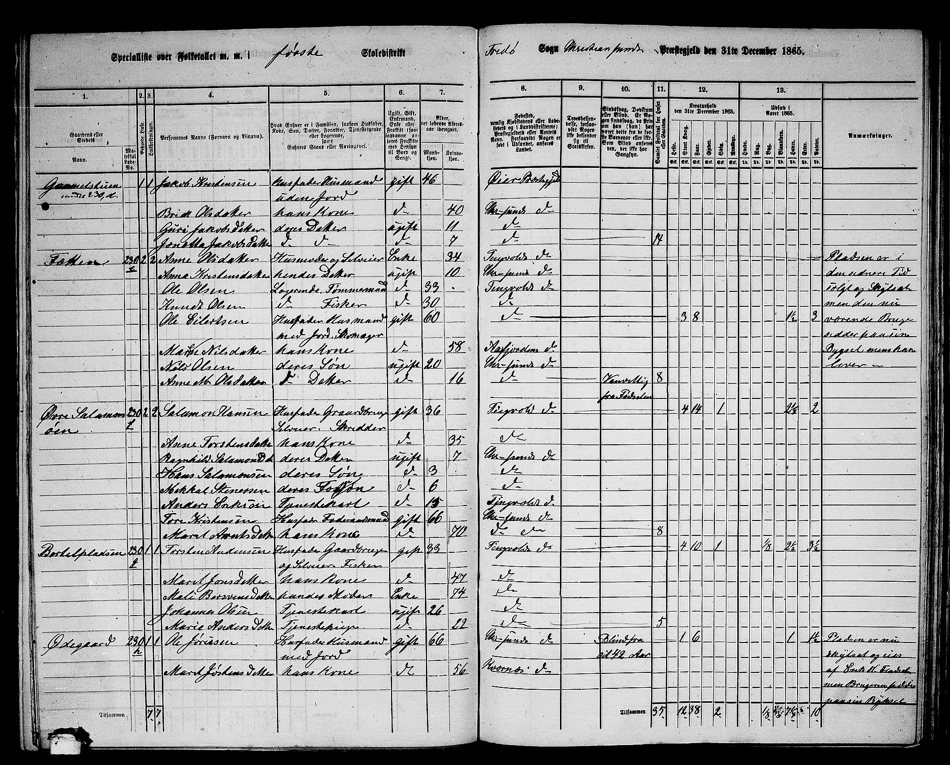 RA, 1865 census for Kristiansund/Frei og Grip, 1865, p. 13