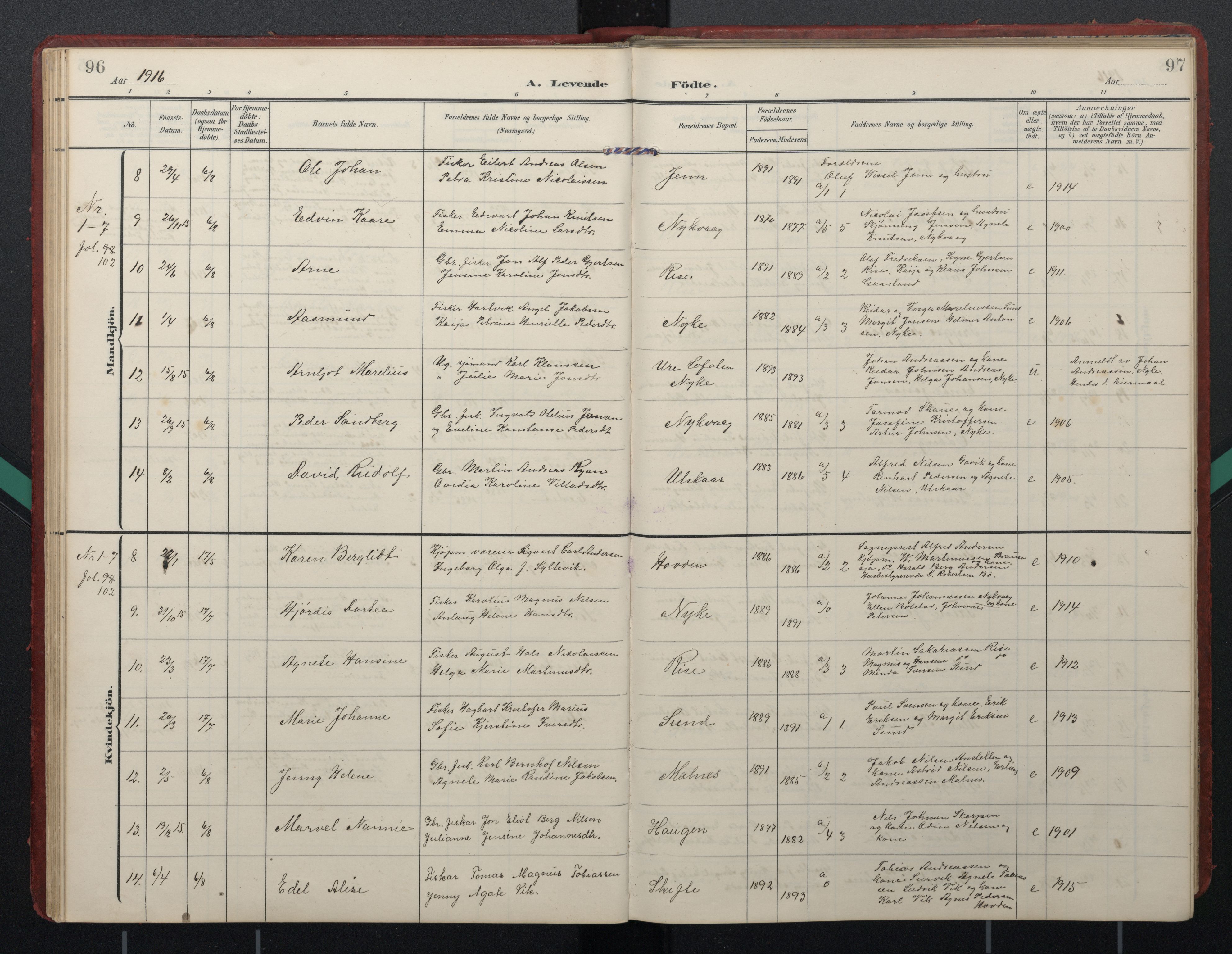 Ministerialprotokoller, klokkerbøker og fødselsregistre - Nordland, SAT/A-1459/892/L1322: Parish register (official) no. 892A03, 1904-1921, p. 96-97