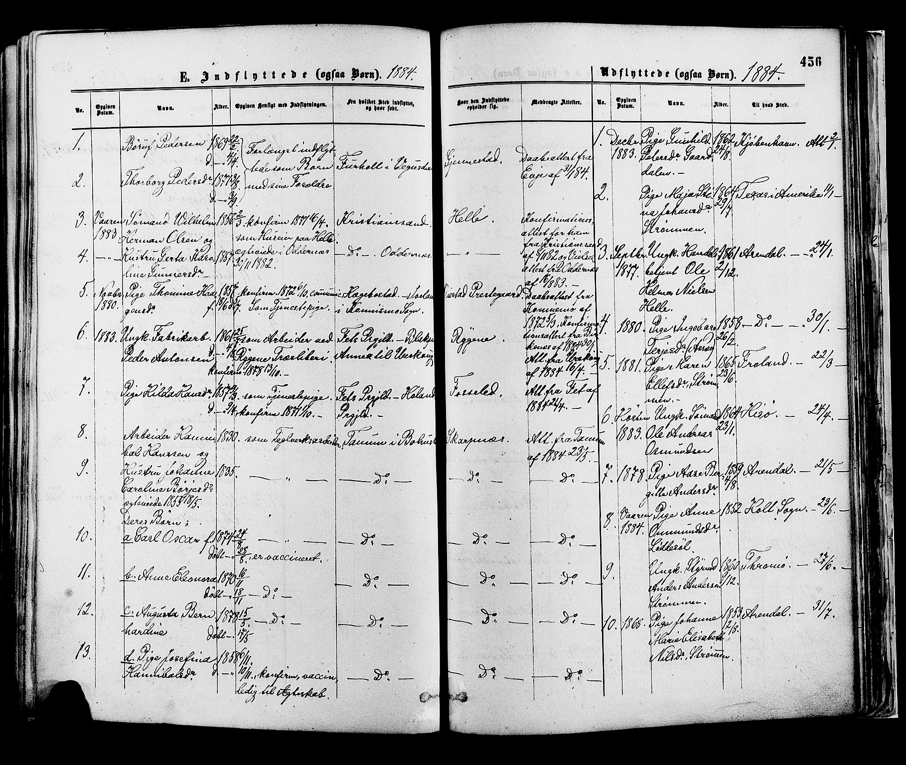 Øyestad sokneprestkontor, SAK/1111-0049/F/Fa/L0016: Parish register (official) no. A 16, 1874-1886, p. 456