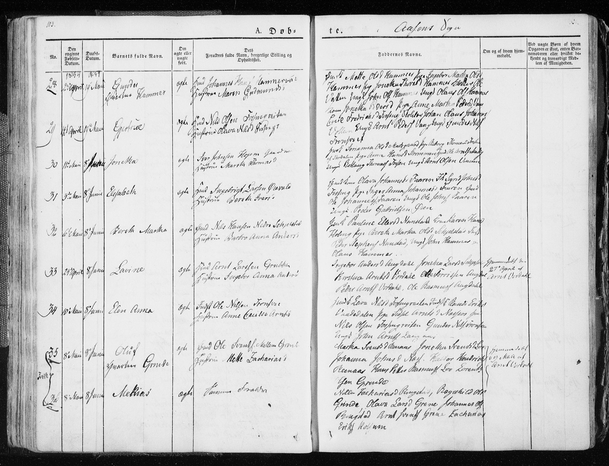 Ministerialprotokoller, klokkerbøker og fødselsregistre - Nord-Trøndelag, SAT/A-1458/713/L0114: Parish register (official) no. 713A05, 1827-1839, p. 103