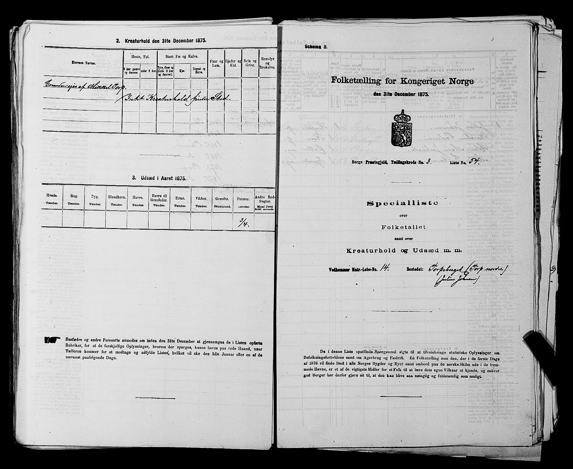RA, 1875 census for 0113P Borge, 1875, p. 498