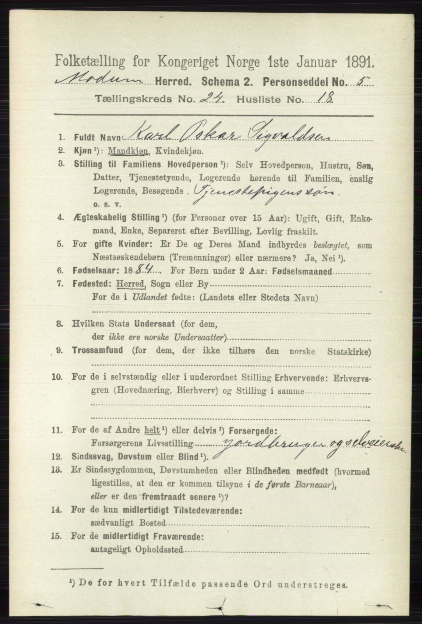 RA, 1891 census for 0623 Modum, 1891, p. 8968