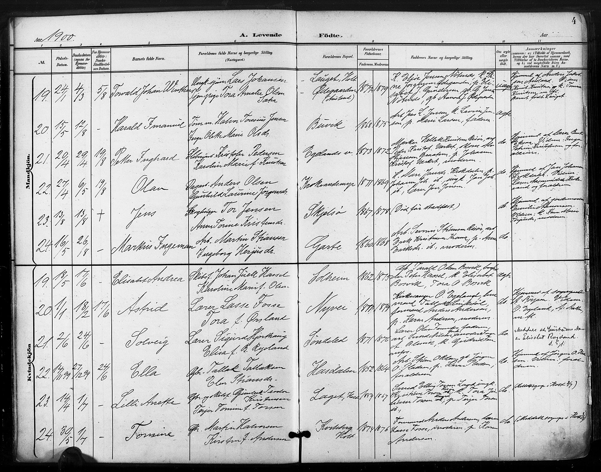 Søndeled sokneprestkontor, AV/SAK-1111-0038/F/Fa/L0006: Parish register (official) no. A 6, 1900-1922, p. 4