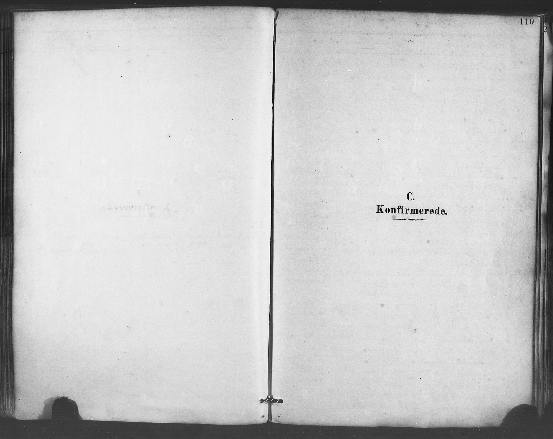 Mariakirken Sokneprestembete, SAB/A-76901/H/Haa/L0007: Parish register (official) no. A 7, 1878-1893, p. 110
