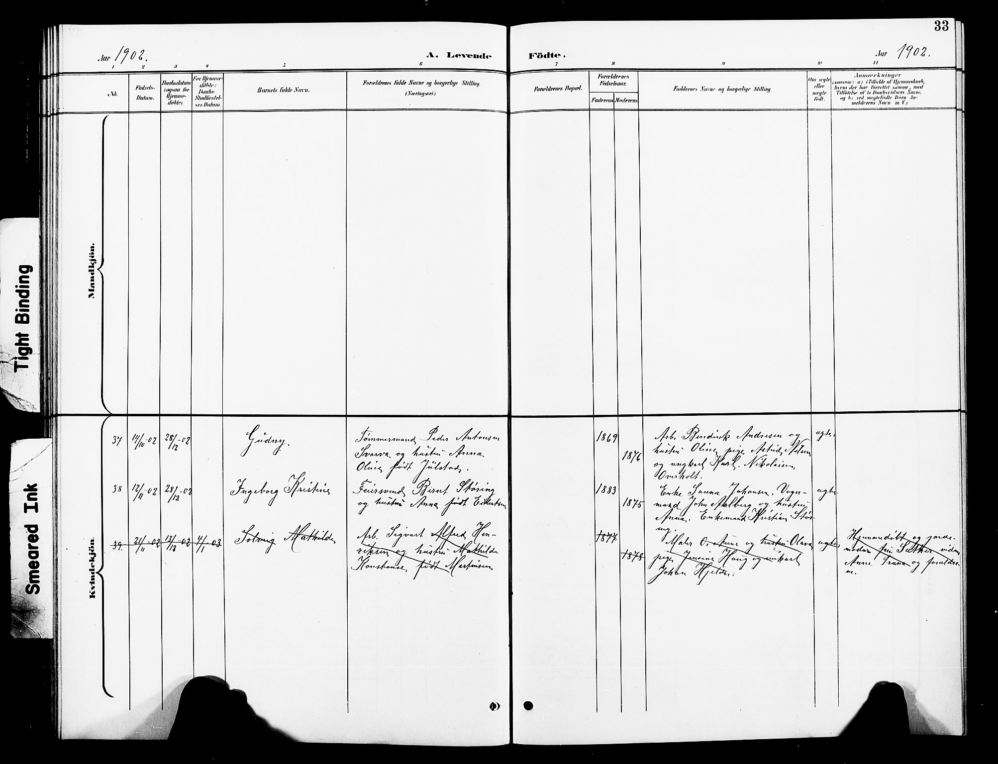 Ministerialprotokoller, klokkerbøker og fødselsregistre - Nord-Trøndelag, AV/SAT-A-1458/739/L0375: Parish register (copy) no. 739C03, 1898-1908, p. 33