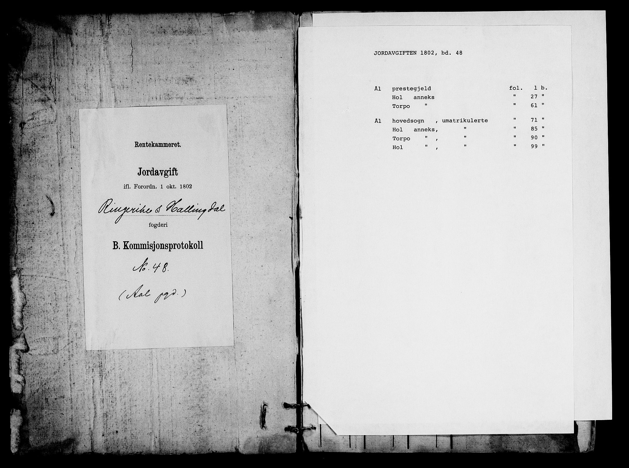 Rentekammeret inntil 1814, Realistisk ordnet avdeling, RA/EA-4070/N/Ne/Nea/L0048: Ringerike og Hallingdal fogderi. Kommisjonsprotokoll for Ål prestegjeld, 1803, p. 1