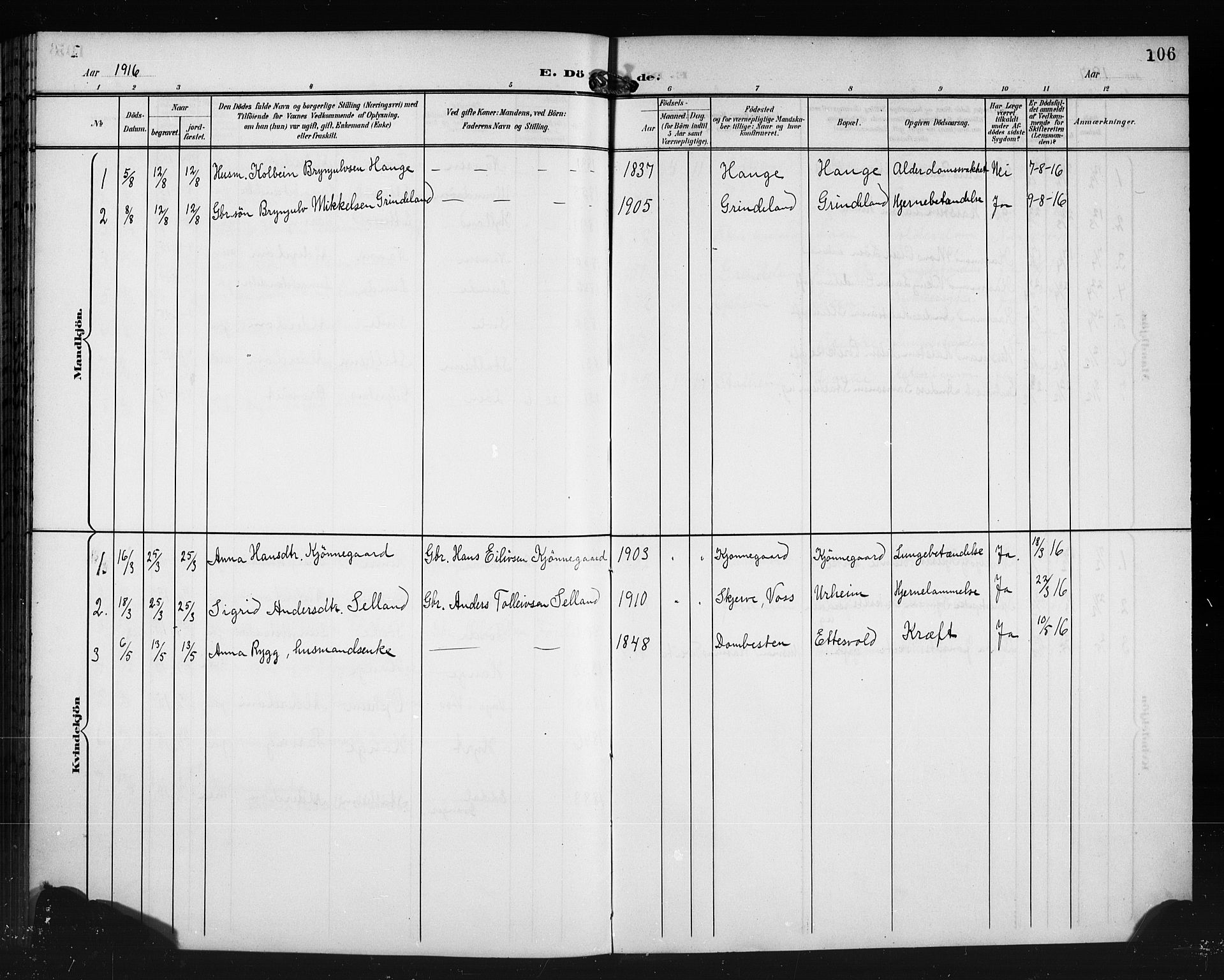 Vossestrand Sokneprestembete, AV/SAB-A-79101/H/Hab: Parish register (copy) no. A 3, 1900-1918, p. 106