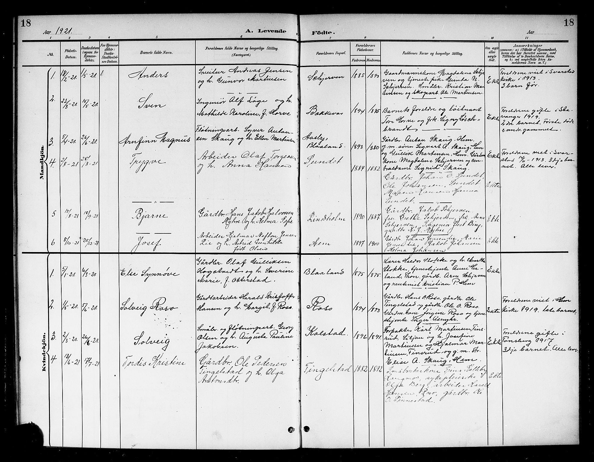 Lardal kirkebøker, AV/SAKO-A-350/G/Gb/L0002: Parish register (copy) no. II 2, 1900-1922, p. 18