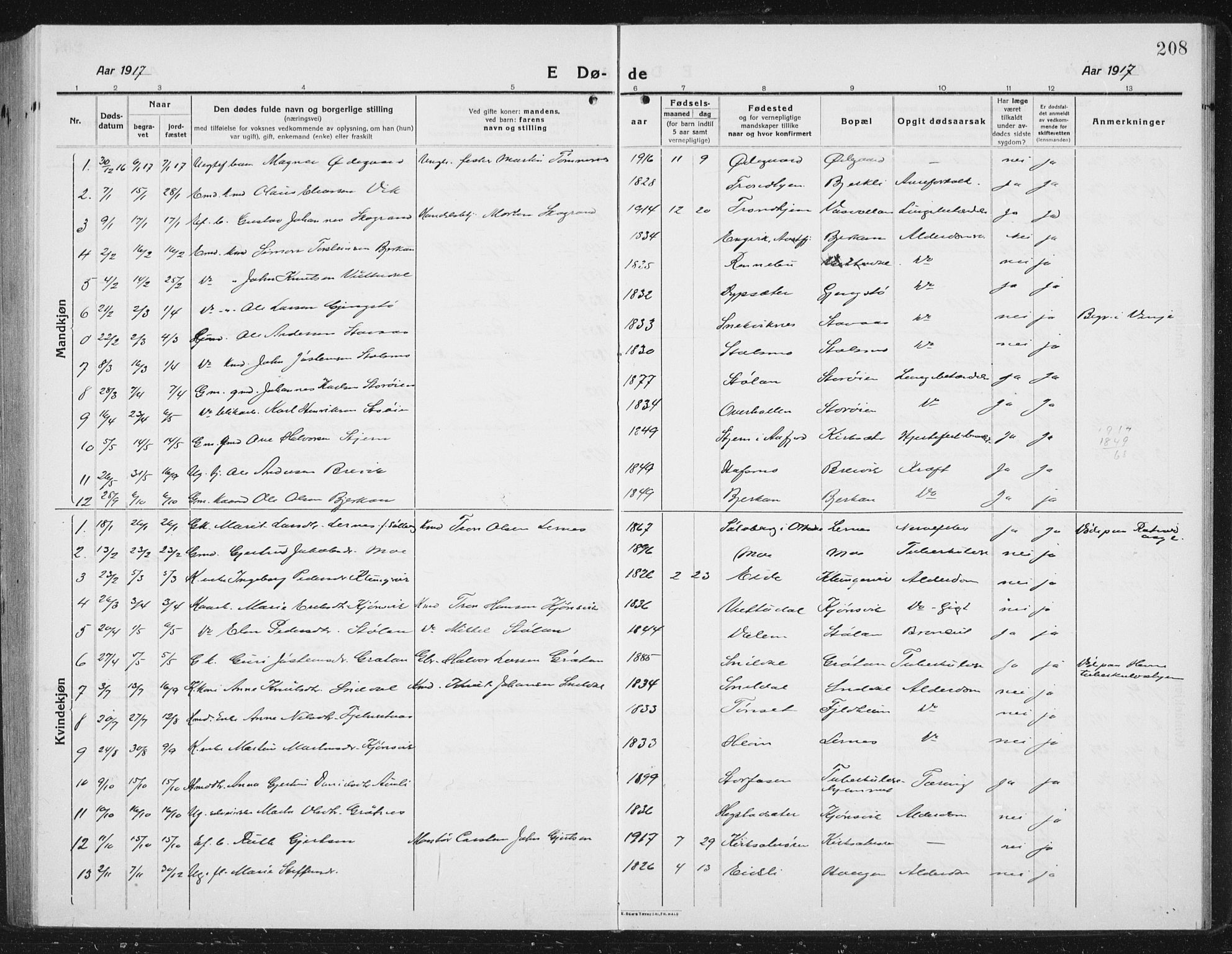 Ministerialprotokoller, klokkerbøker og fødselsregistre - Sør-Trøndelag, SAT/A-1456/630/L0506: Parish register (copy) no. 630C04, 1914-1933, p. 208