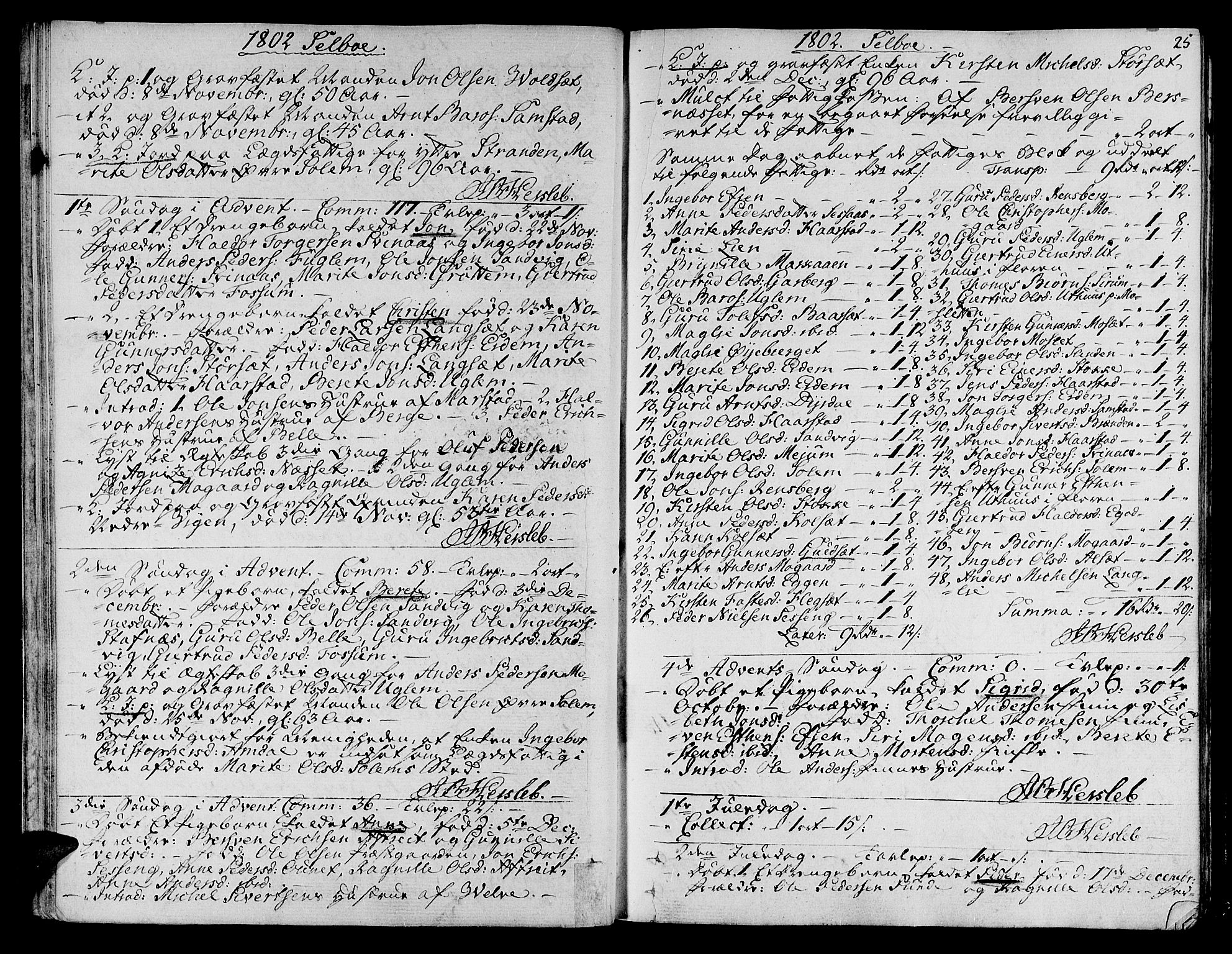 Ministerialprotokoller, klokkerbøker og fødselsregistre - Sør-Trøndelag, SAT/A-1456/695/L1140: Parish register (official) no. 695A03, 1801-1815, p. 25