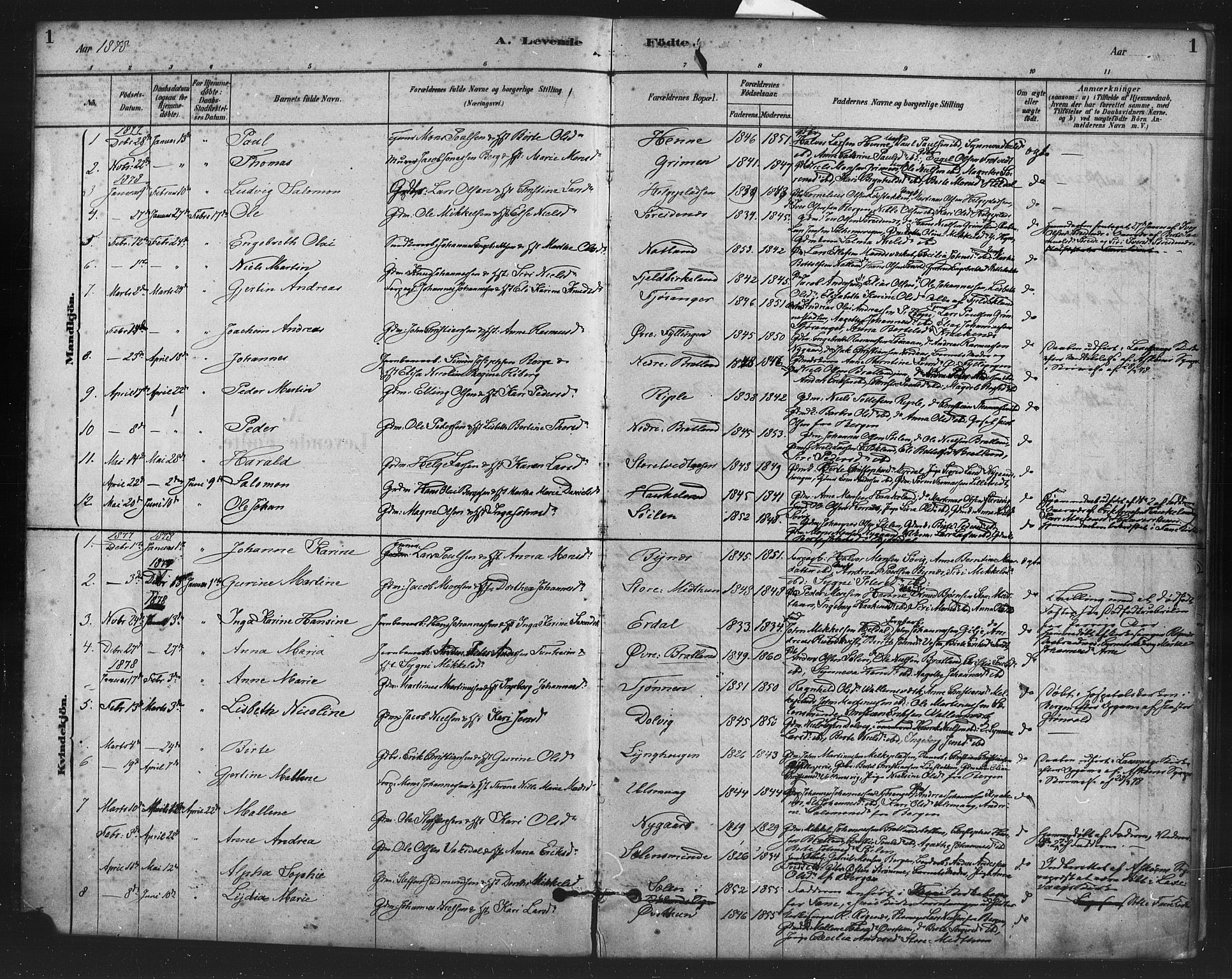Fana Sokneprestembete, SAB/A-75101/H/Haa/Haai/L0001: Parish register (official) no. I 1, 1878-1888, p. 1