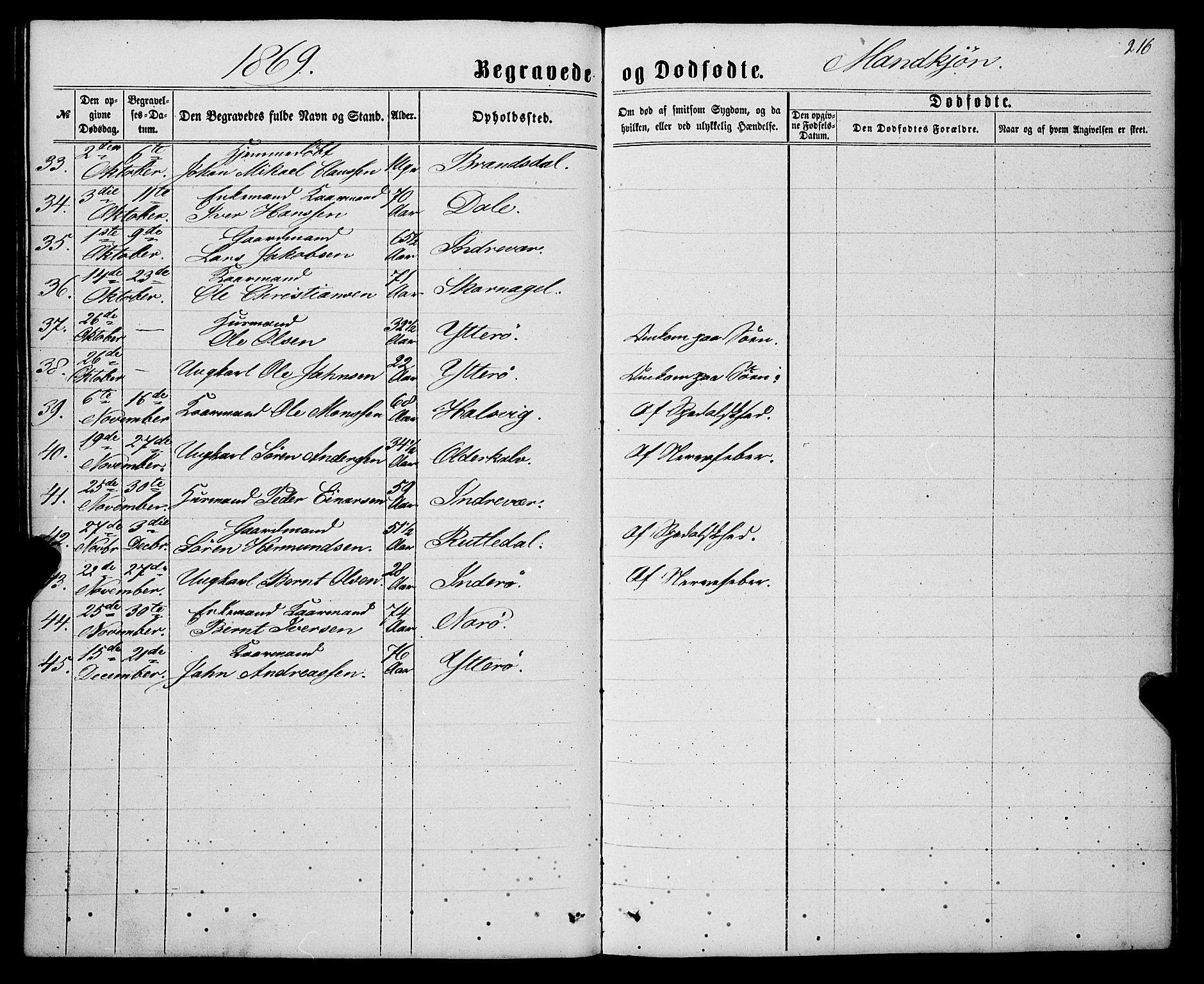 Gulen sokneprestembete, AV/SAB-A-80201/H/Haa/Haaa/L0022: Parish register (official) no. A 22, 1859-1869, p. 216