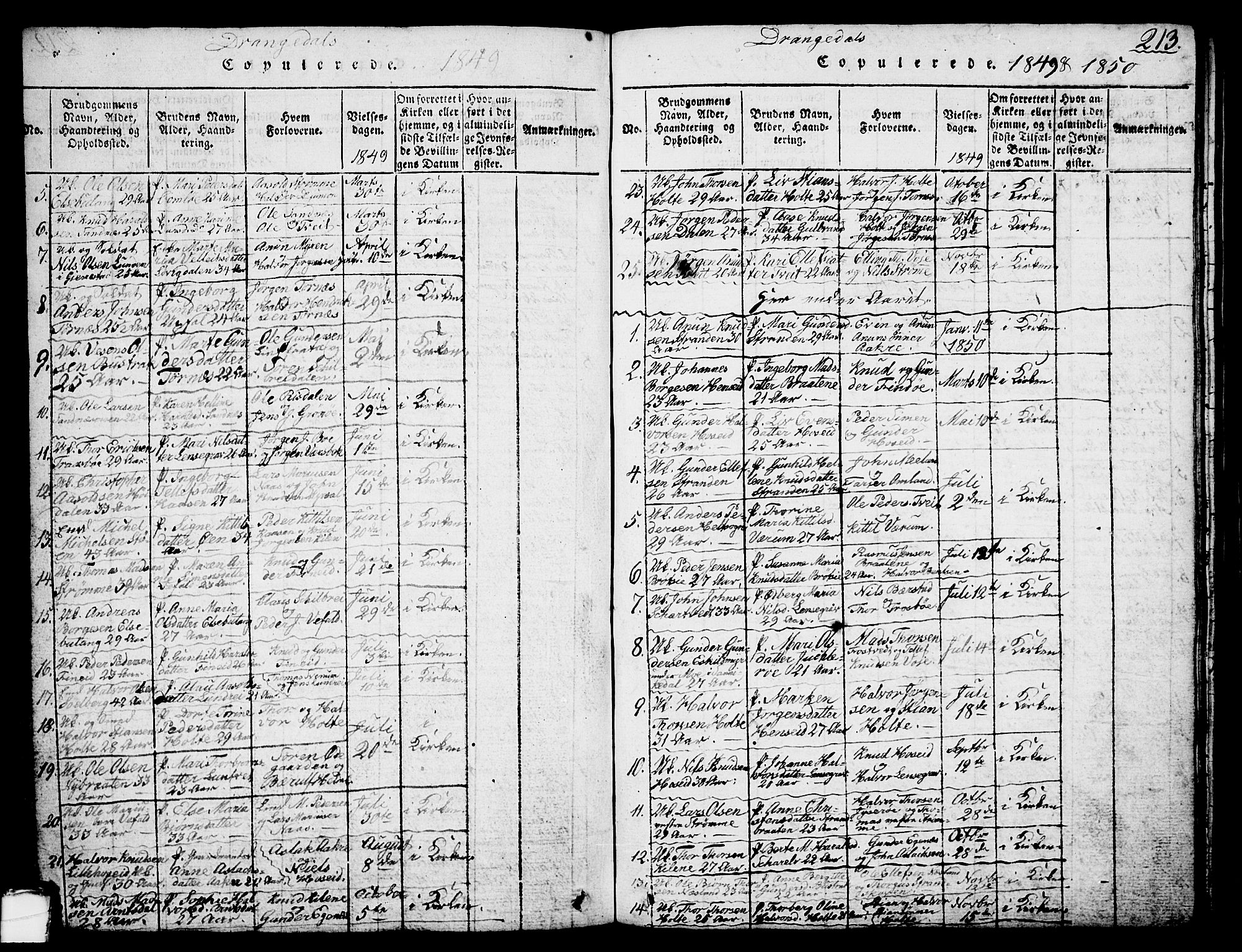 Drangedal kirkebøker, SAKO/A-258/G/Ga/L0001: Parish register (copy) no. I 1 /1, 1814-1856, p. 213