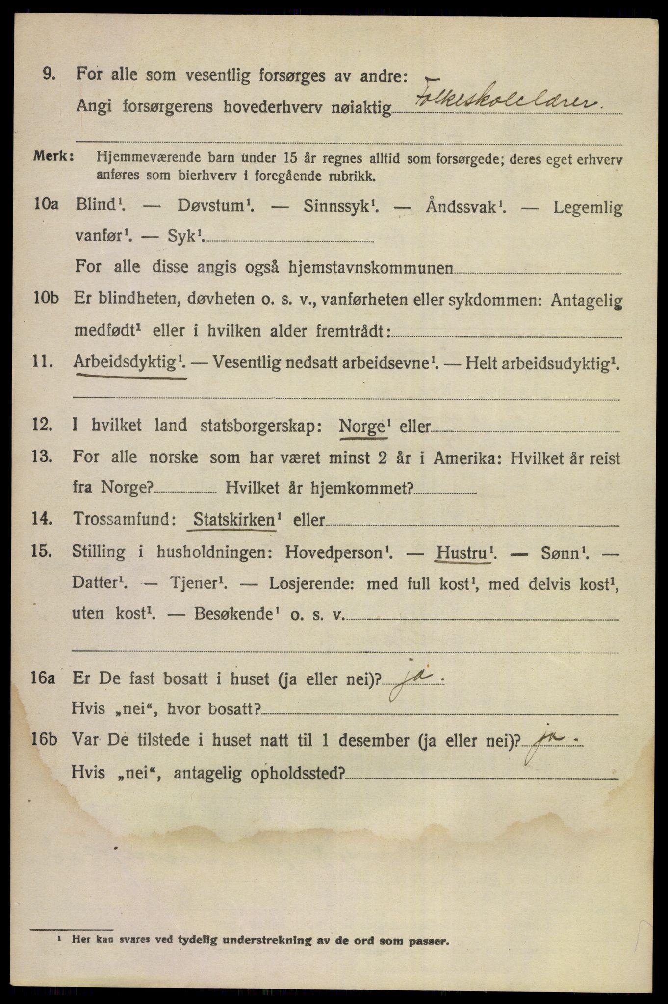 SAKO, 1920 census for Norderhov, 1920, p. 12015