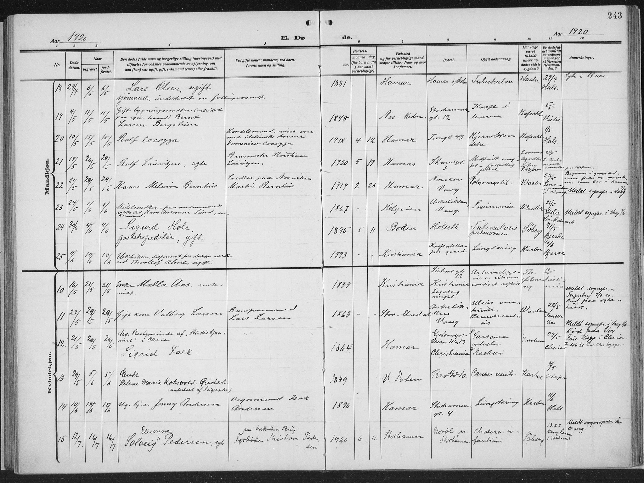 Hamar prestekontor, AV/SAH-DOMPH-002/H/Ha/Haa/L0002: Parish register (official) no. 2, 1915-1936, p. 243