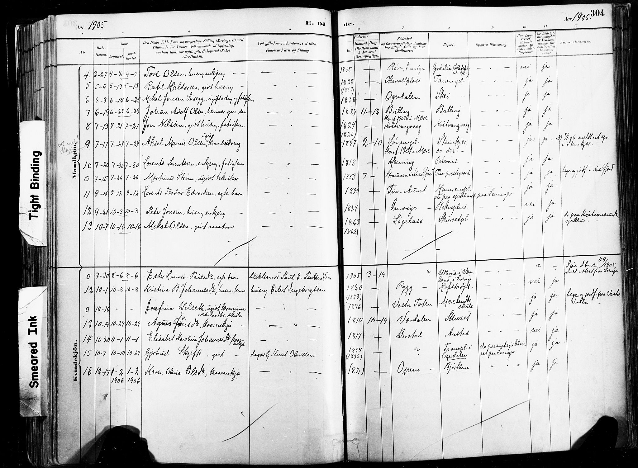 Ministerialprotokoller, klokkerbøker og fødselsregistre - Nord-Trøndelag, AV/SAT-A-1458/735/L0351: Parish register (official) no. 735A10, 1884-1908, p. 304