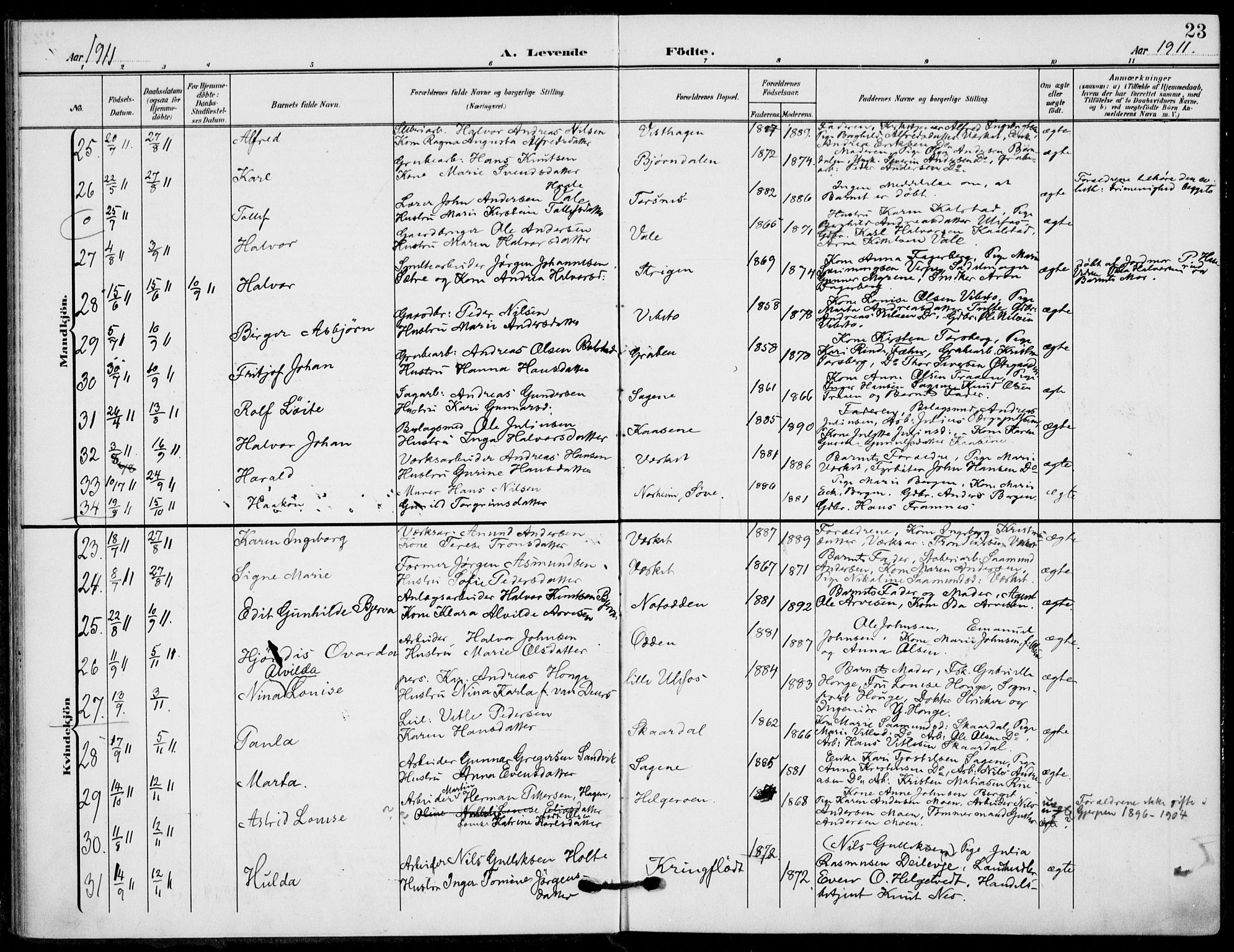 Holla kirkebøker, AV/SAKO-A-272/F/Fa/L0012: Parish register (official) no. 12, 1907-1923, p. 23