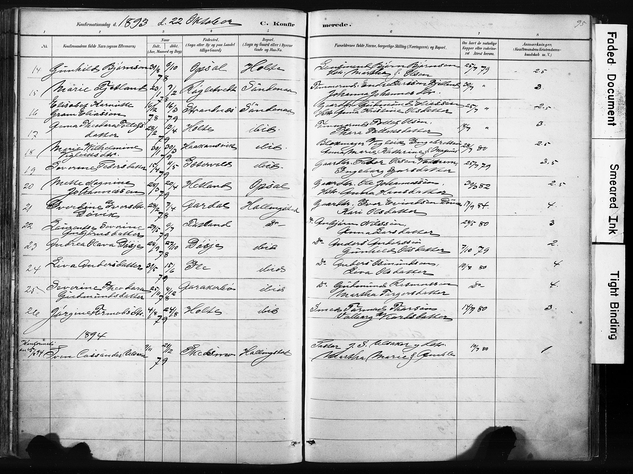 Vikedal sokneprestkontor, SAST/A-101840/01/IV: Parish register (official) no. A 10, 1884-1907, p. 95