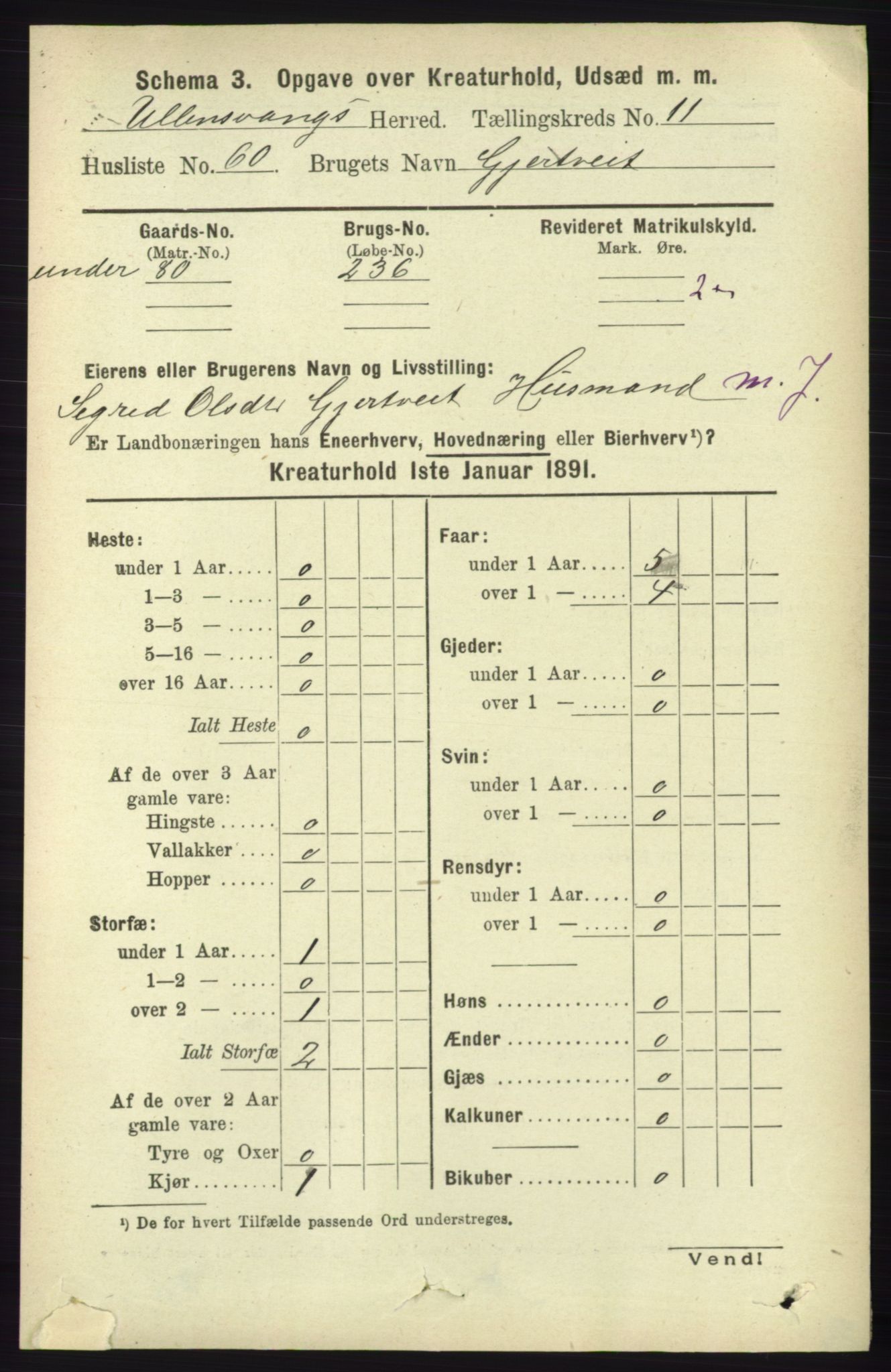 RA, 1891 census for 1230 Ullensvang, 1891, p. 8019