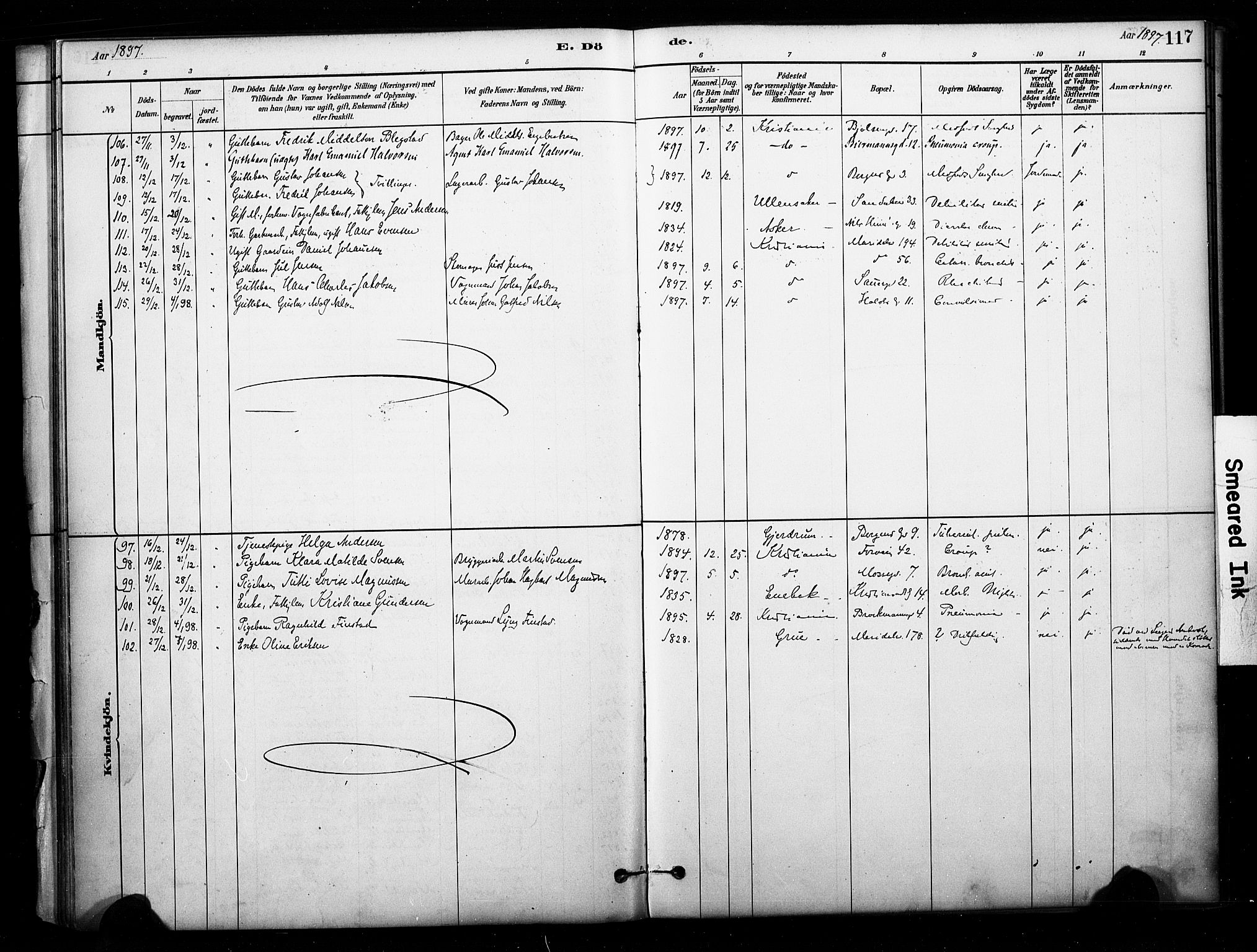 Sagene prestekontor Kirkebøker, AV/SAO-A-10796/F/L0003: Parish register (official) no. 3, 1880-1922, p. 117