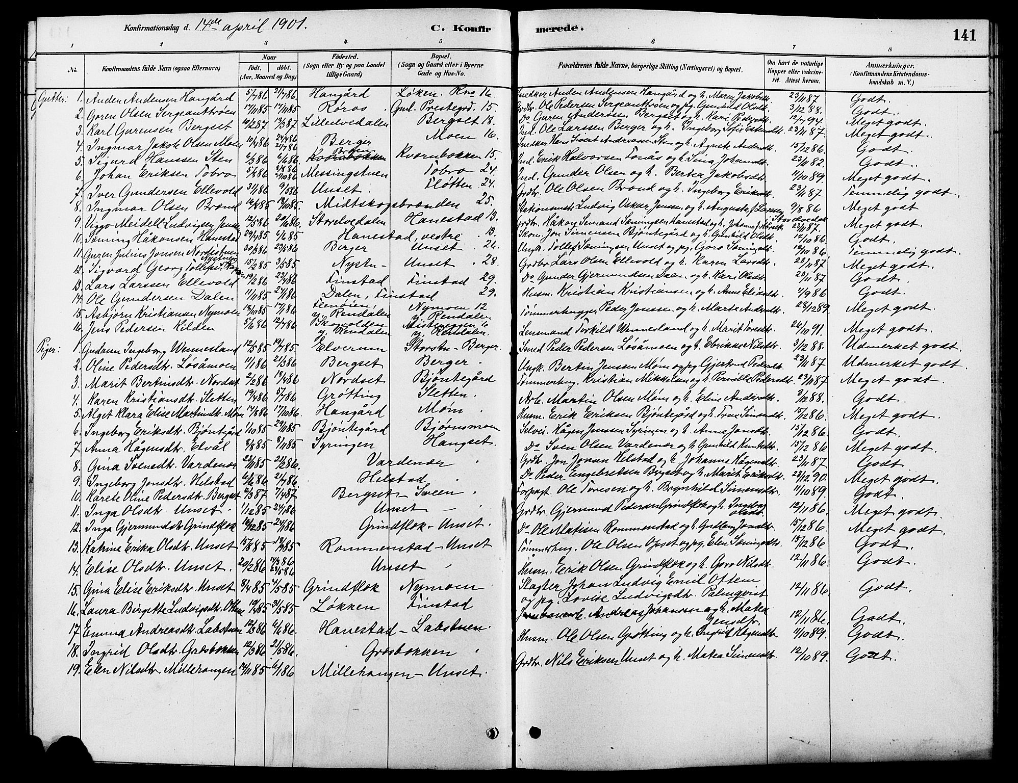 Rendalen prestekontor, SAH/PREST-054/H/Ha/Hab/L0003: Parish register (copy) no. 3, 1879-1904, p. 141