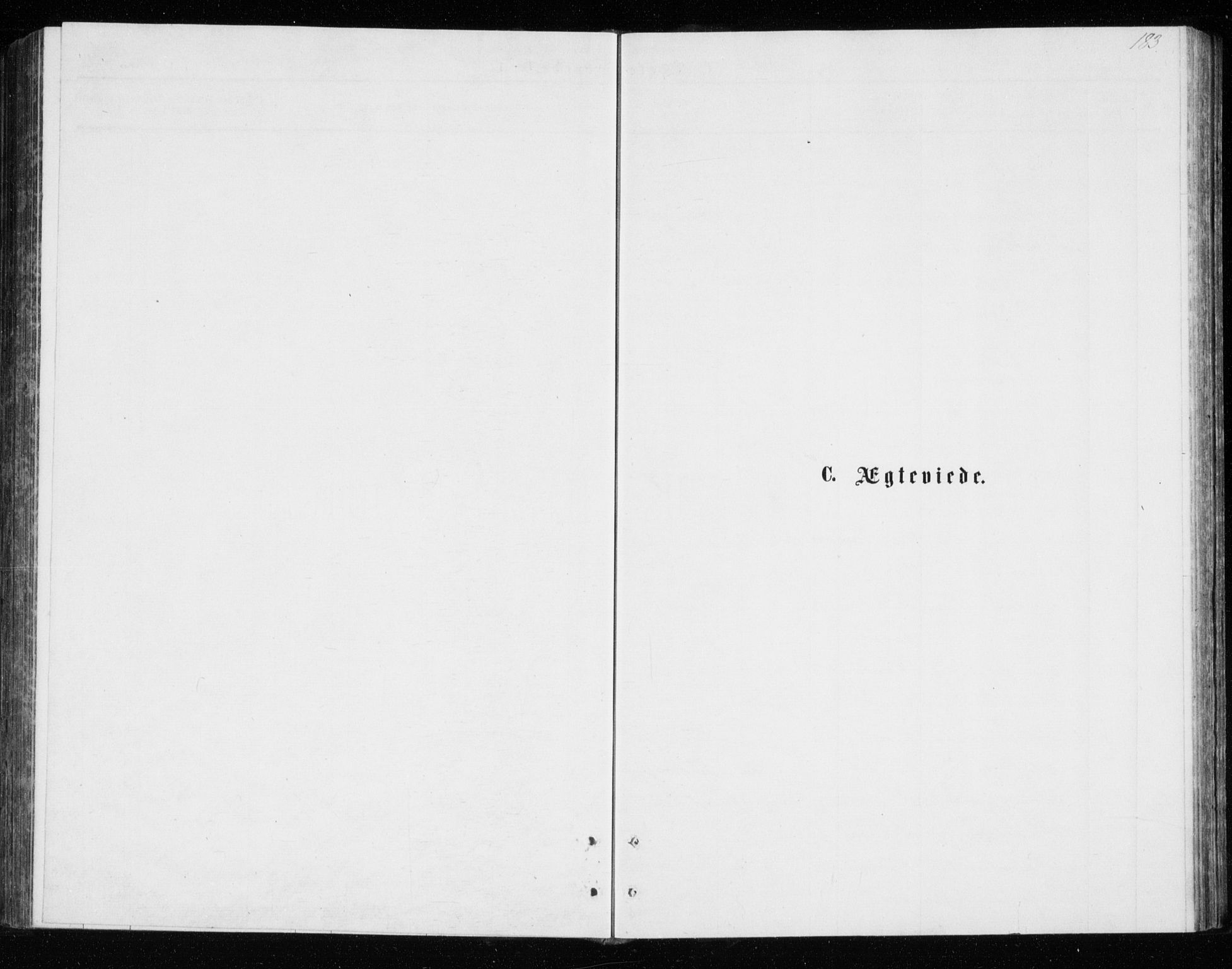 Tromsø sokneprestkontor/stiftsprosti/domprosti, SATØ/S-1343/G/Gb/L0008klokker: Parish register (copy) no. 8, 1875-1879, p. 183