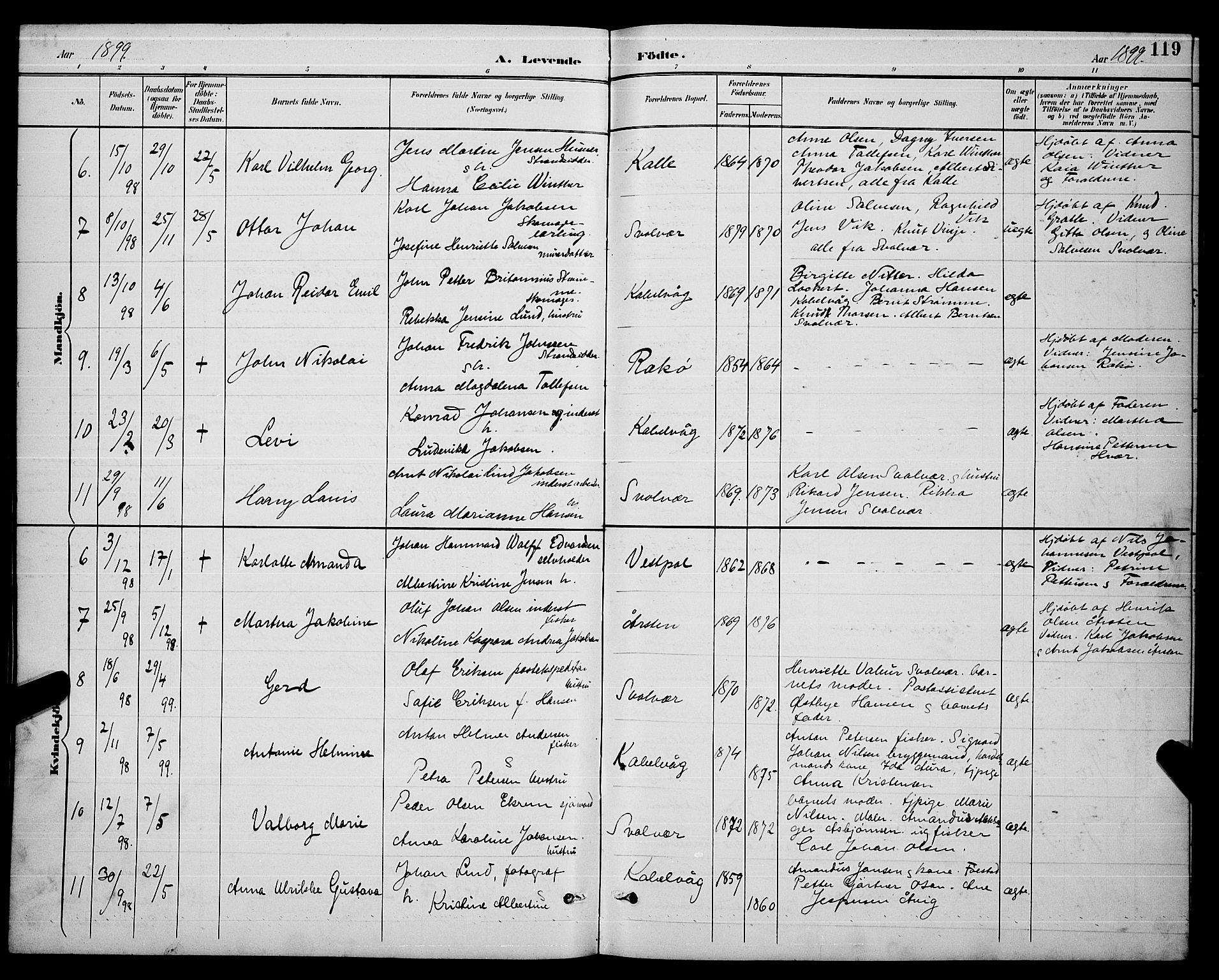 Ministerialprotokoller, klokkerbøker og fødselsregistre - Nordland, AV/SAT-A-1459/874/L1077: Parish register (copy) no. 874C06, 1891-1900, p. 119