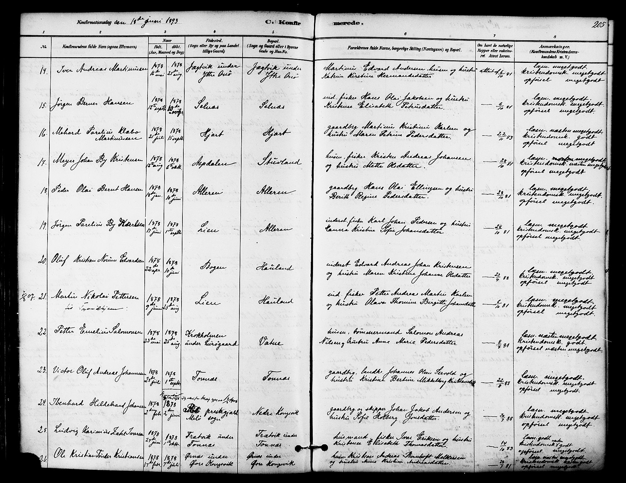 Ministerialprotokoller, klokkerbøker og fødselsregistre - Nordland, AV/SAT-A-1459/839/L0568: Parish register (official) no. 839A05, 1880-1902, p. 205