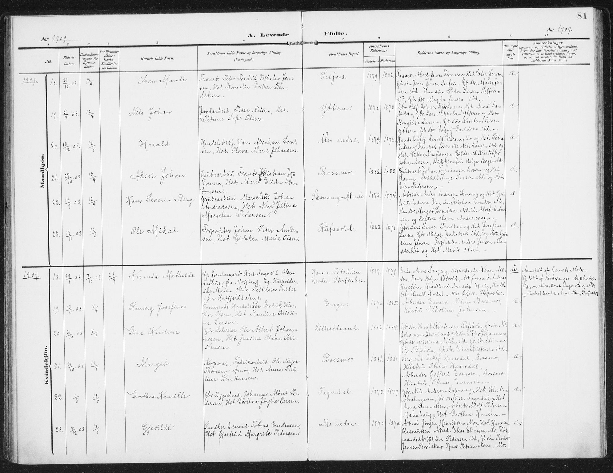 Ministerialprotokoller, klokkerbøker og fødselsregistre - Nordland, SAT/A-1459/827/L0402: Parish register (official) no. 827A14, 1903-1912, p. 81