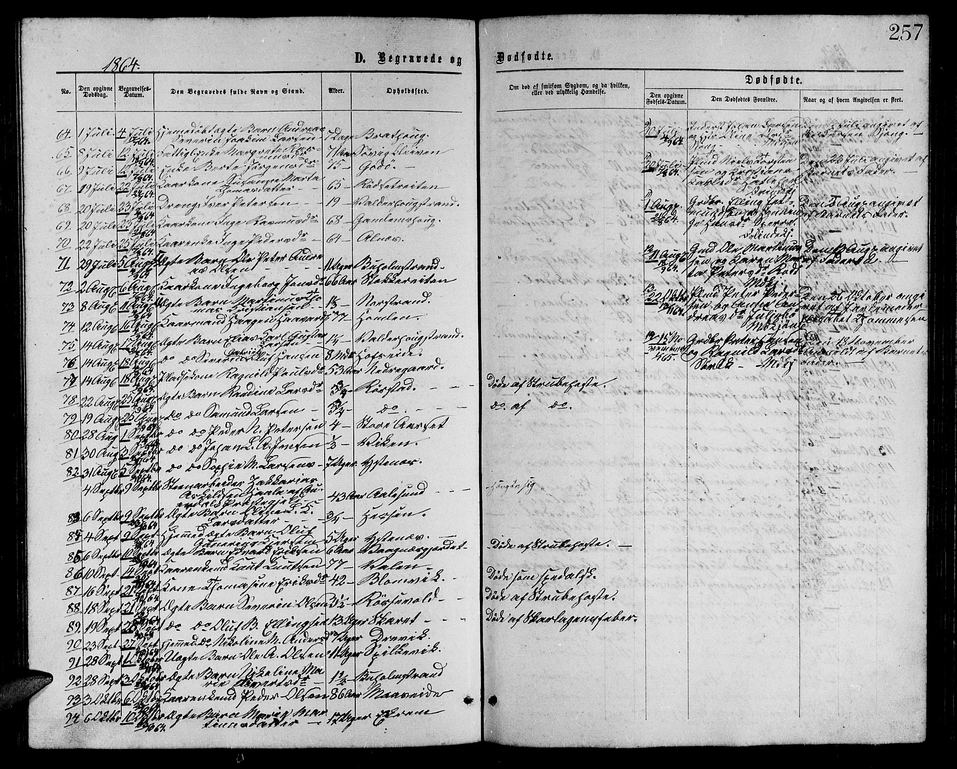 Ministerialprotokoller, klokkerbøker og fødselsregistre - Møre og Romsdal, SAT/A-1454/528/L0428: Parish register (copy) no. 528C09, 1864-1880, p. 257