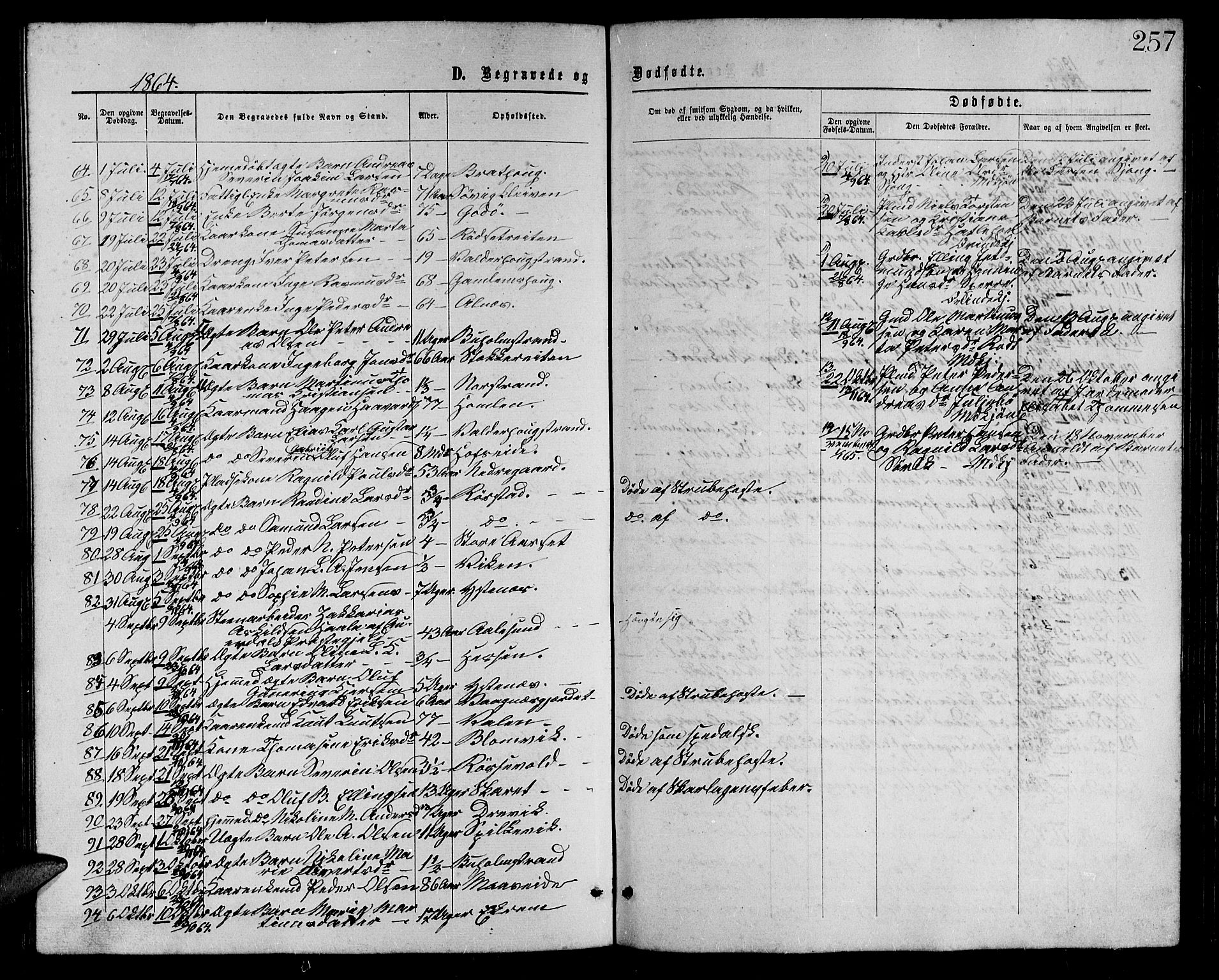 Ministerialprotokoller, klokkerbøker og fødselsregistre - Møre og Romsdal, AV/SAT-A-1454/528/L0428: Parish register (copy) no. 528C09, 1864-1880, p. 257