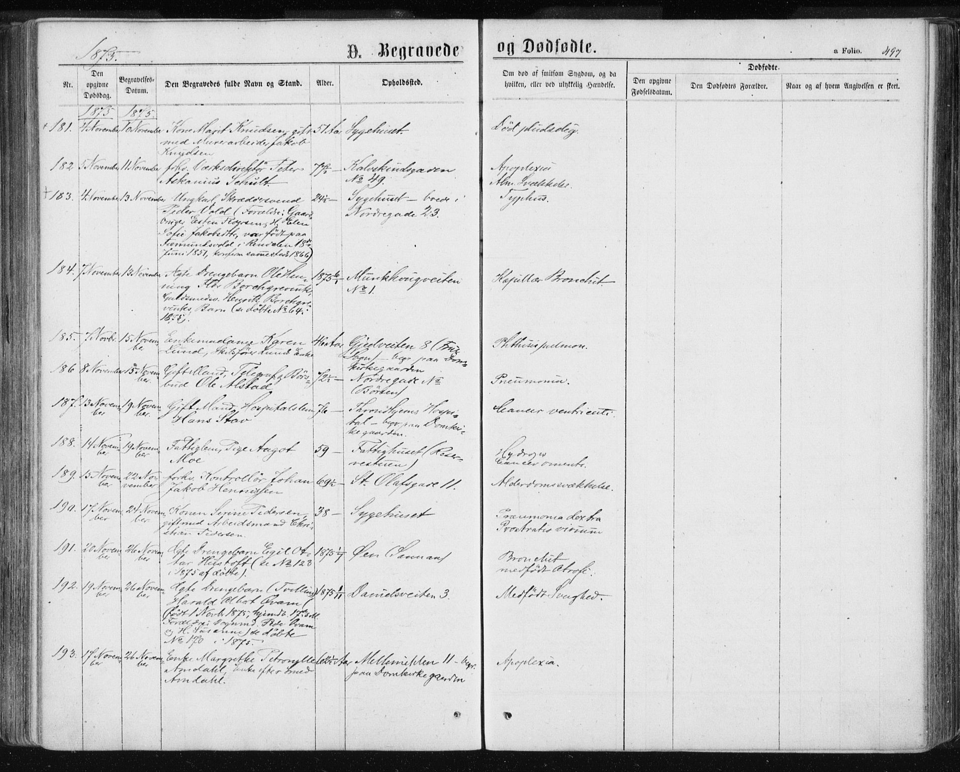 Ministerialprotokoller, klokkerbøker og fødselsregistre - Sør-Trøndelag, AV/SAT-A-1456/601/L0055: Parish register (official) no. 601A23, 1866-1877, p. 497