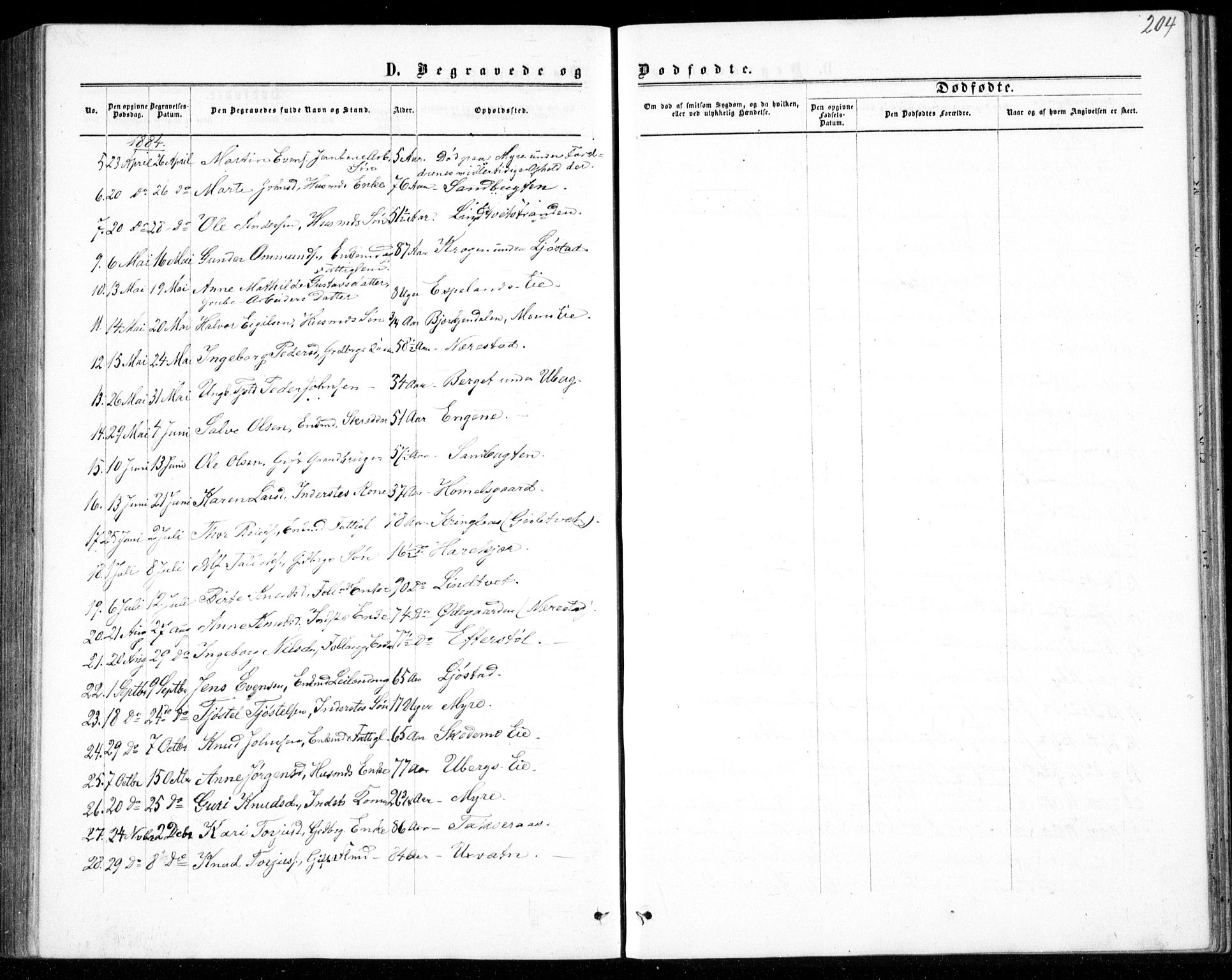 Gjerstad sokneprestkontor, AV/SAK-1111-0014/F/Fb/Fbb/L0003: Parish register (copy) no. B 3, 1862-1889, p. 204