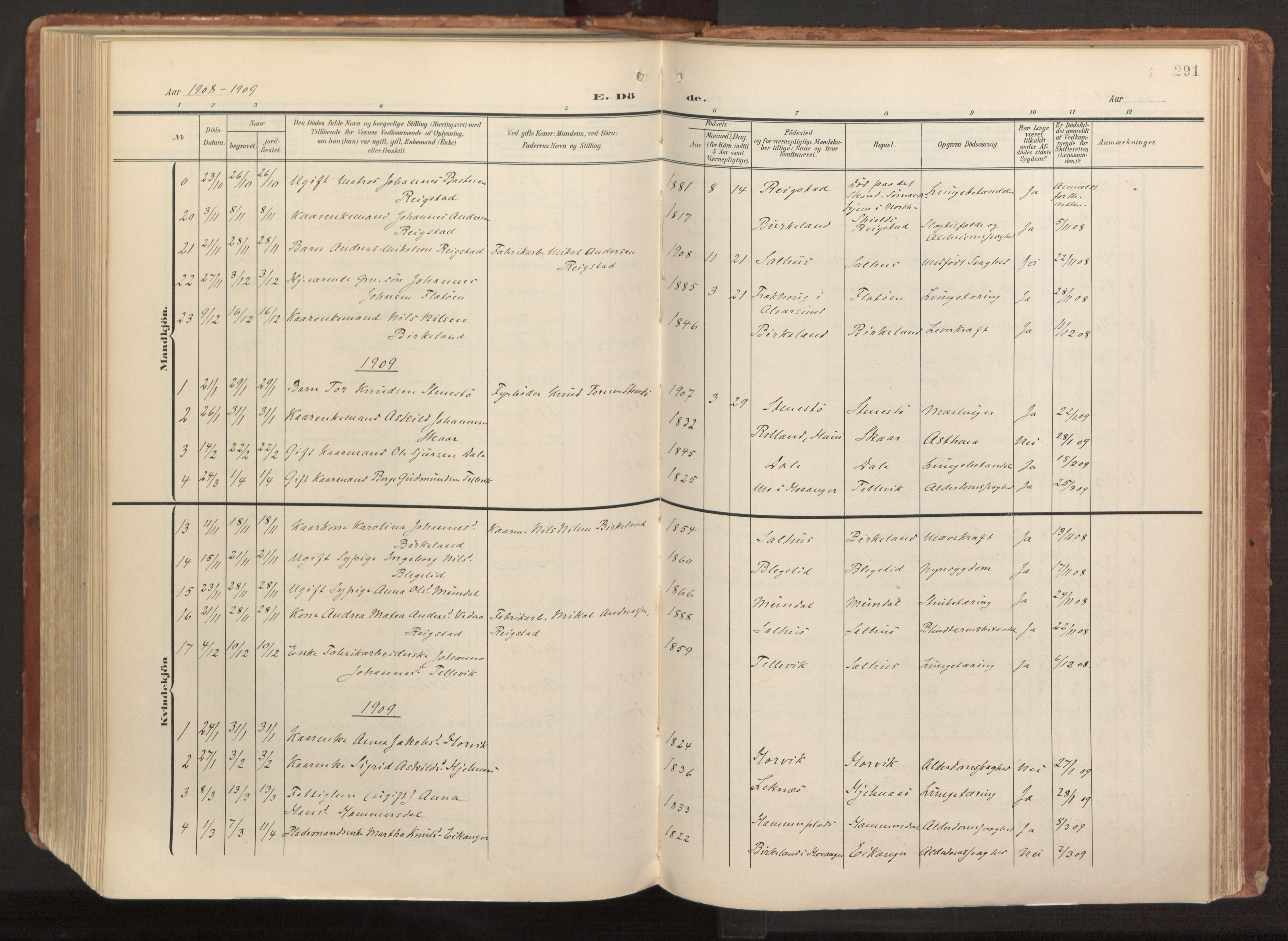 Hamre sokneprestembete, AV/SAB-A-75501/H/Ha/Haa/Haab/L0002: Parish register (official) no. B 2, 1905-1924, p. 291