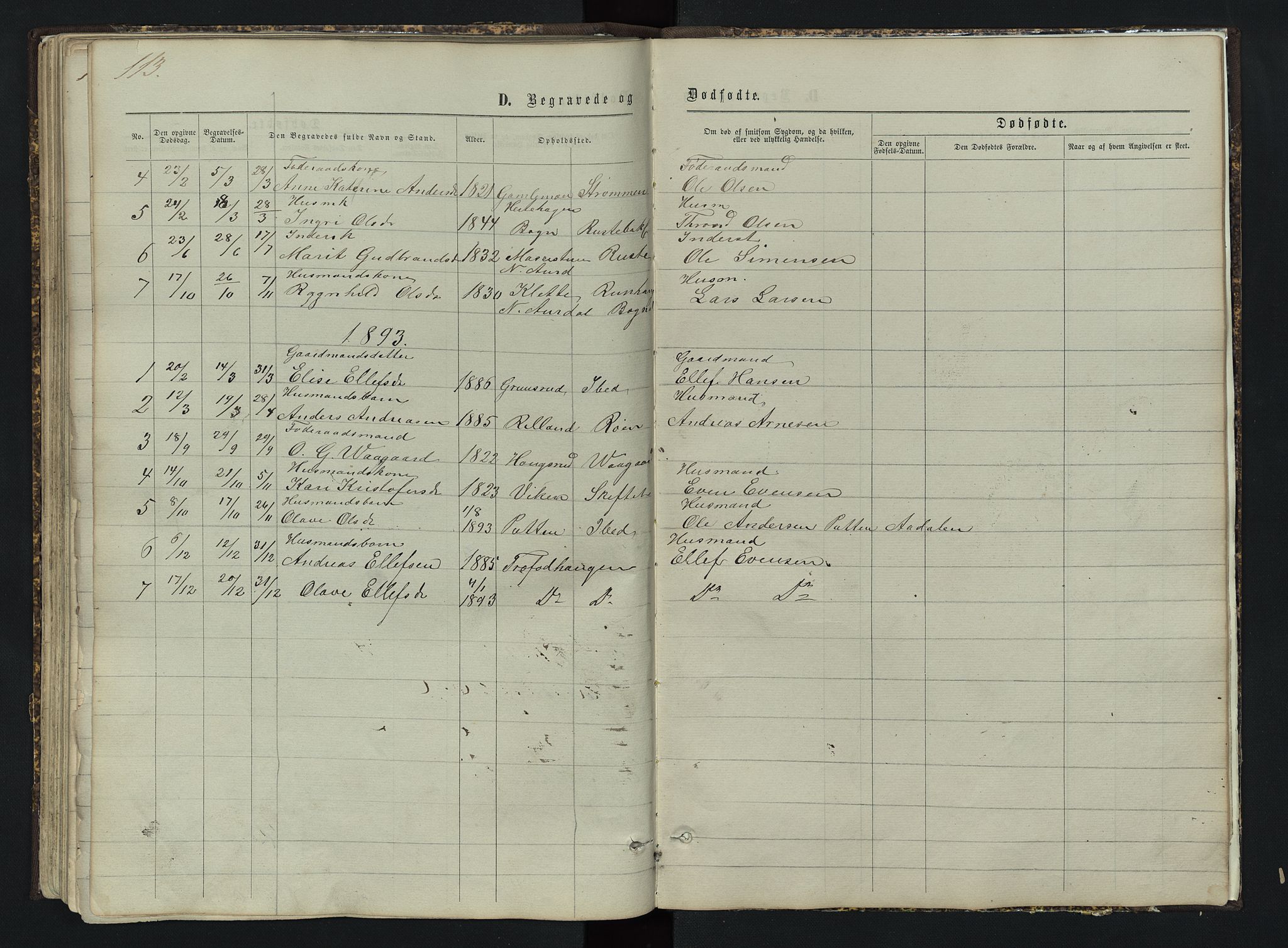 Sør-Aurdal prestekontor, AV/SAH-PREST-128/H/Ha/Hab/L0003: Parish register (copy) no. 3, 1862-1893, p. 113