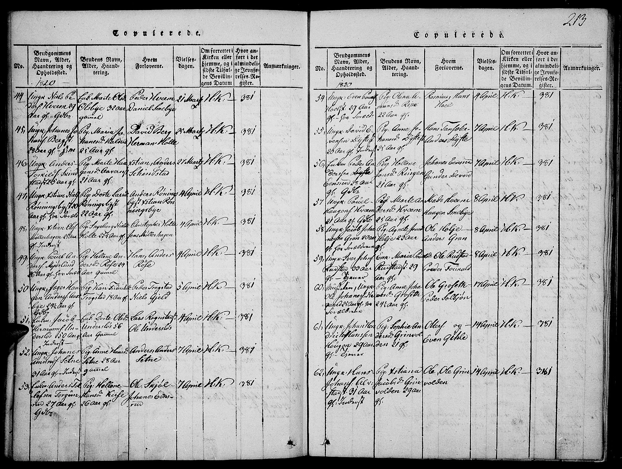 Toten prestekontor, SAH/PREST-102/H/Ha/Haa/L0009: Parish register (official) no. 9, 1814-1820, p. 213