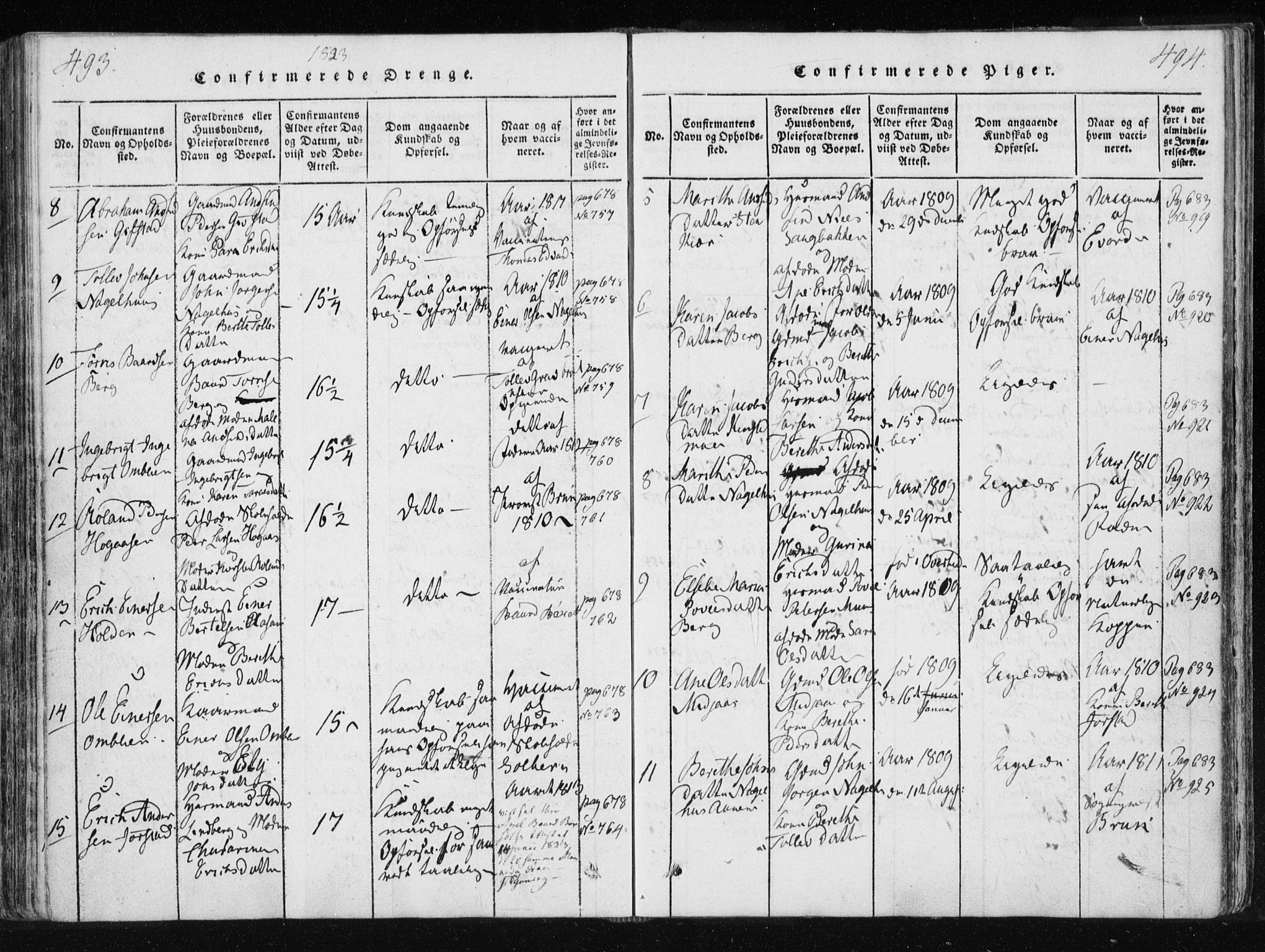 Ministerialprotokoller, klokkerbøker og fødselsregistre - Nord-Trøndelag, SAT/A-1458/749/L0469: Parish register (official) no. 749A03, 1817-1857, p. 493-494